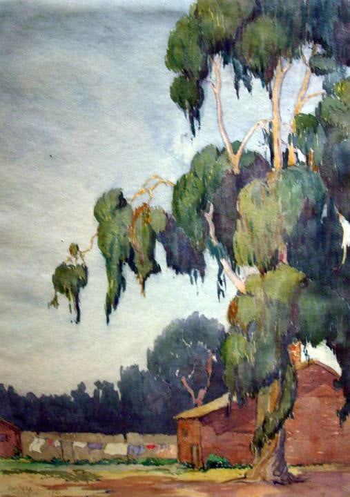 Barbara Morgan, Early California Eucalyptus Tree, 1921