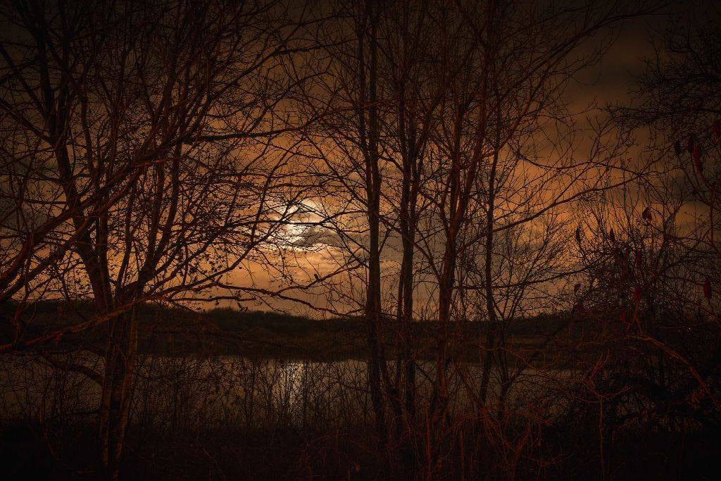 Todd Hido, #11599-5811, 2014