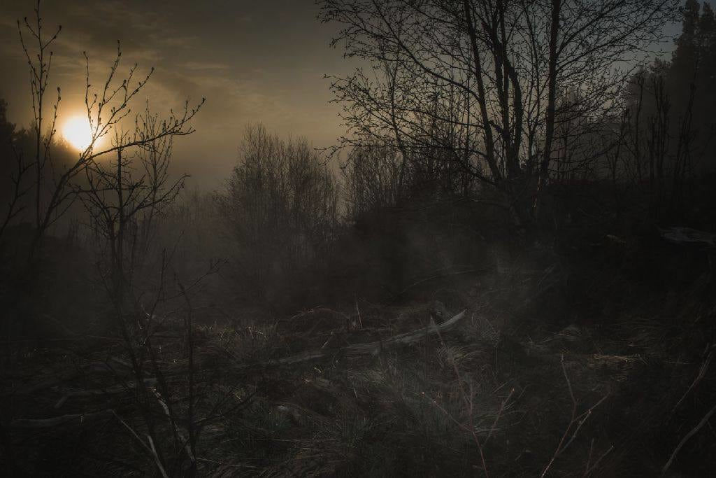 Todd Hido, #11798-4172, 2017