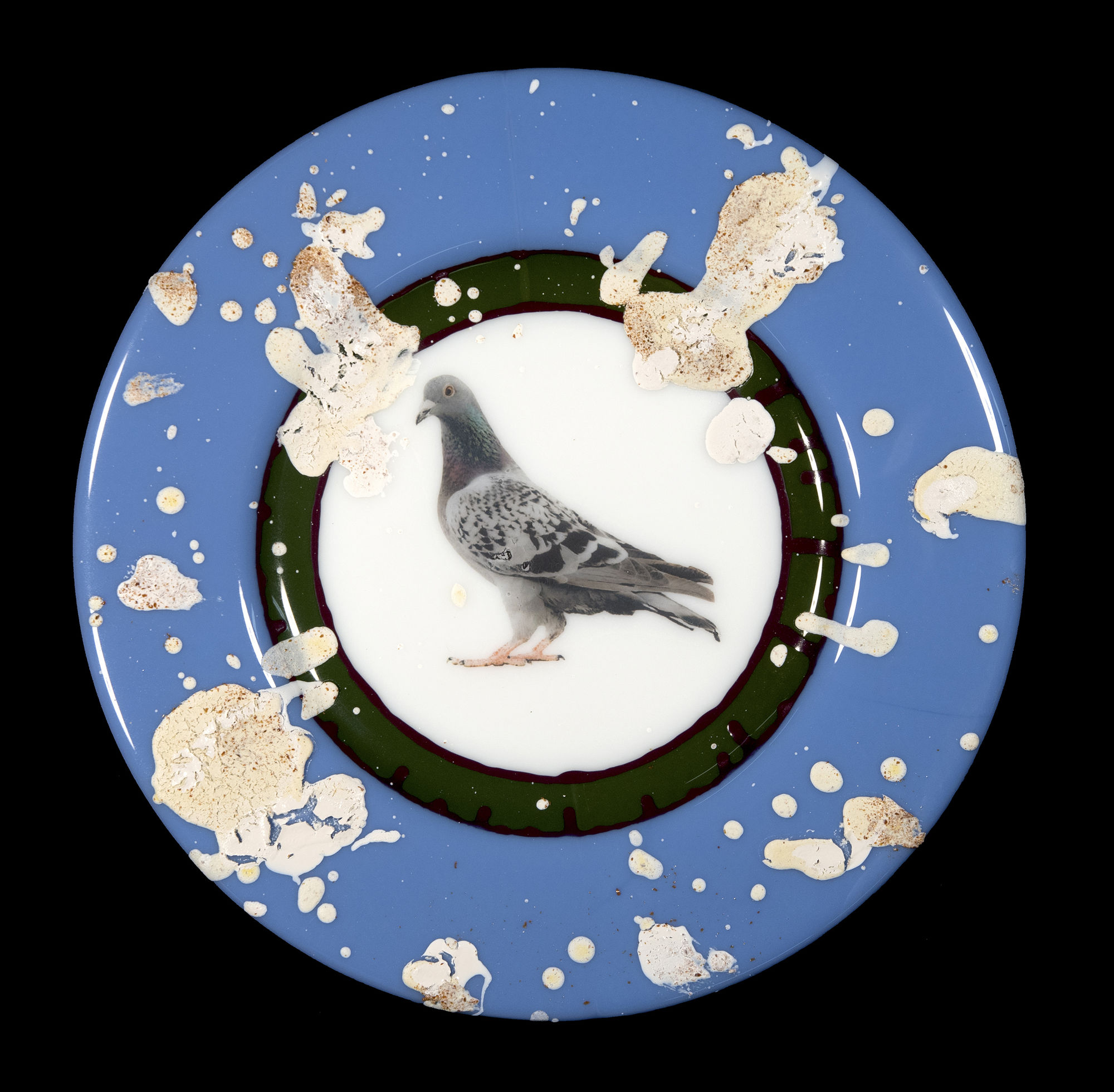 Evan Burnette, Commemorative Pigeon Plate #1, 2018