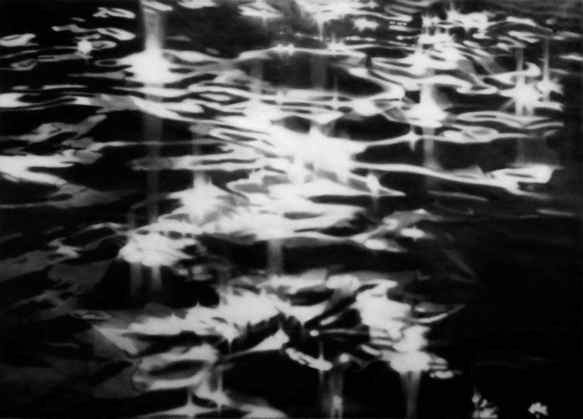 Sarah Leahy, Light Camouflage, 2008