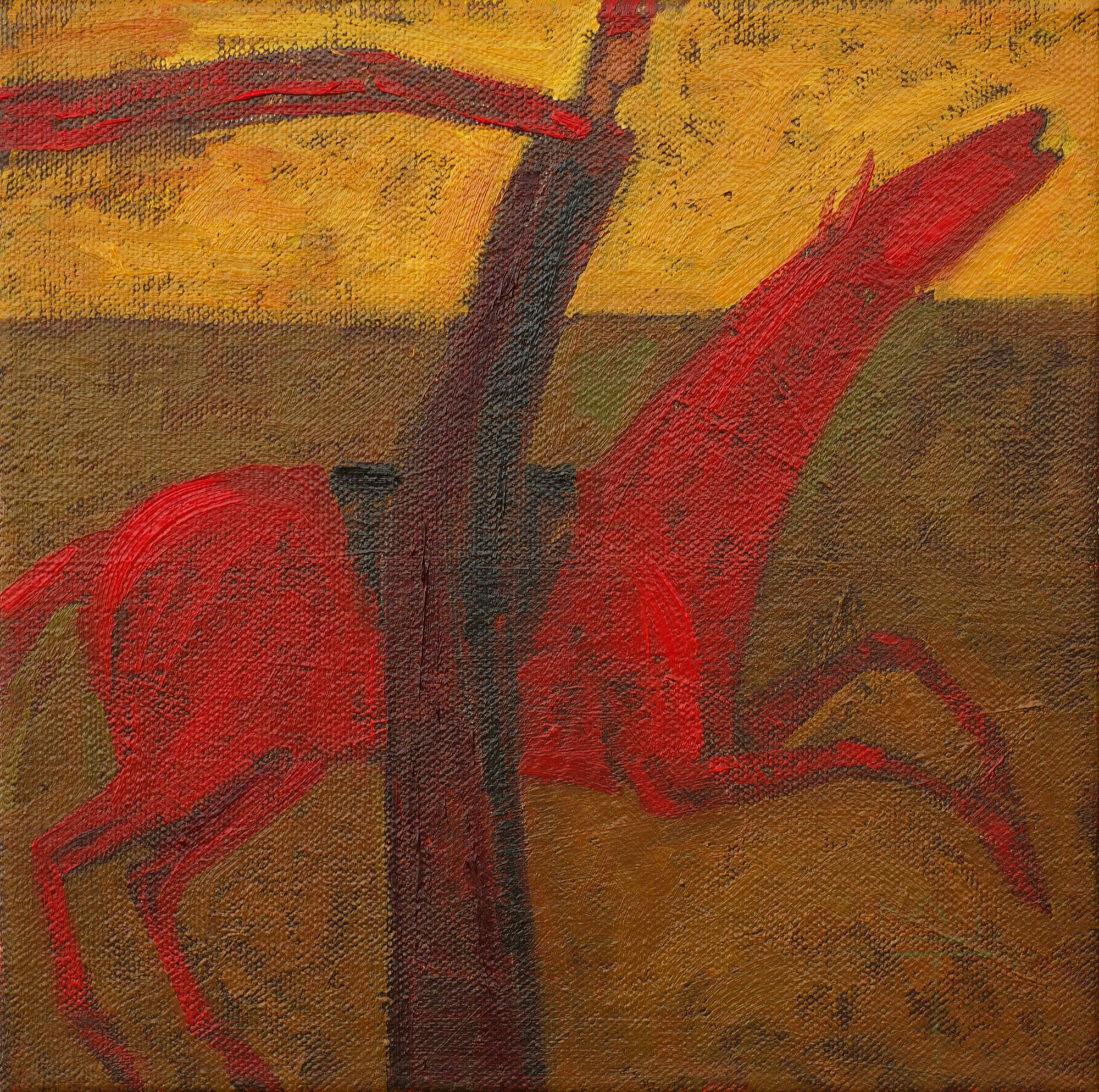 Timur D'Vatz, Red Horse Rider