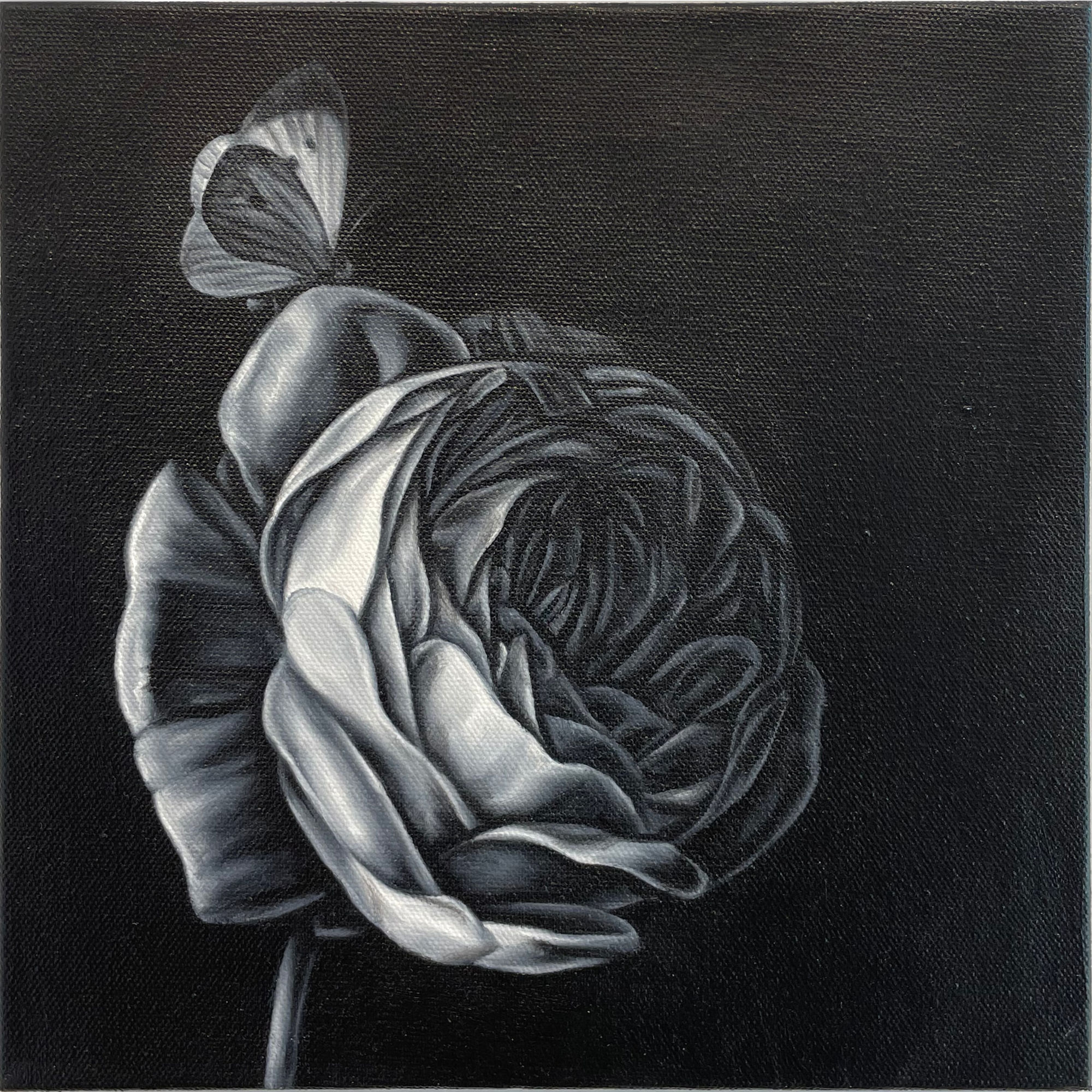 Shelley Reed, Rose with Butterfly (after van den Broeck), 2018