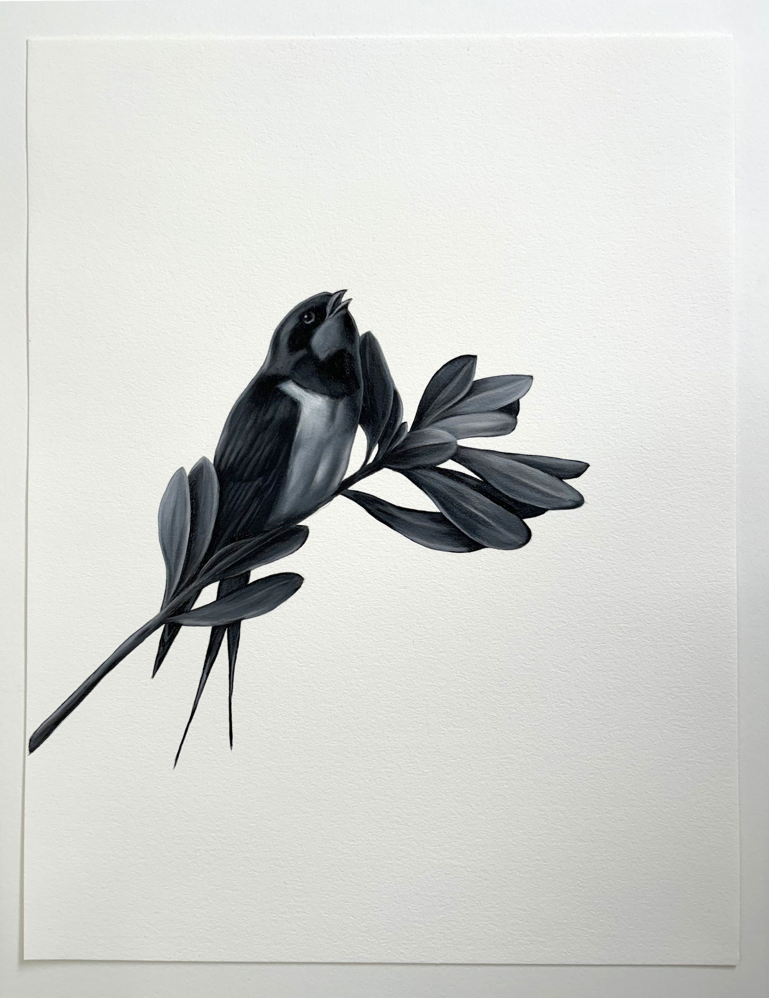 Shelley Reed, On the Branch (after Thorburn), 2024