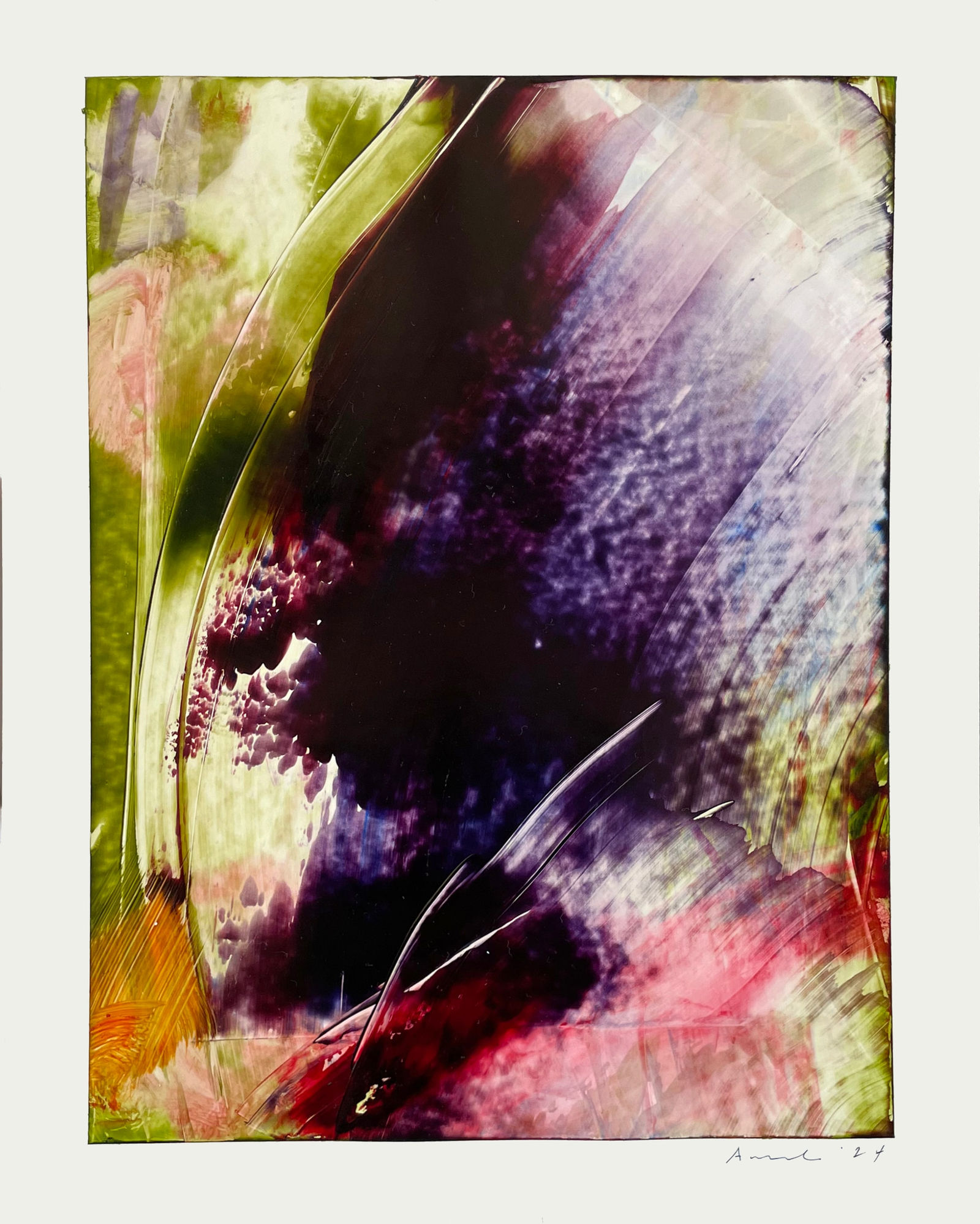 Elise Ansel, oil study I for Wild Iris, 2024