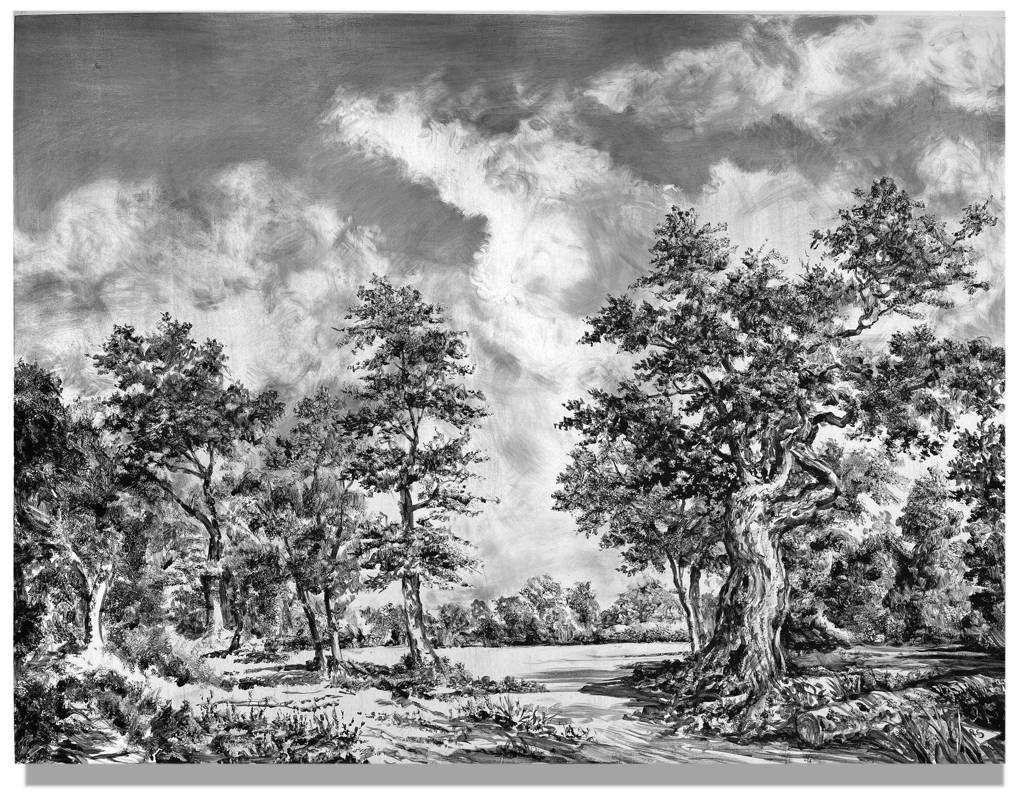 Rick Shaefer, Forest Clearing, 2023