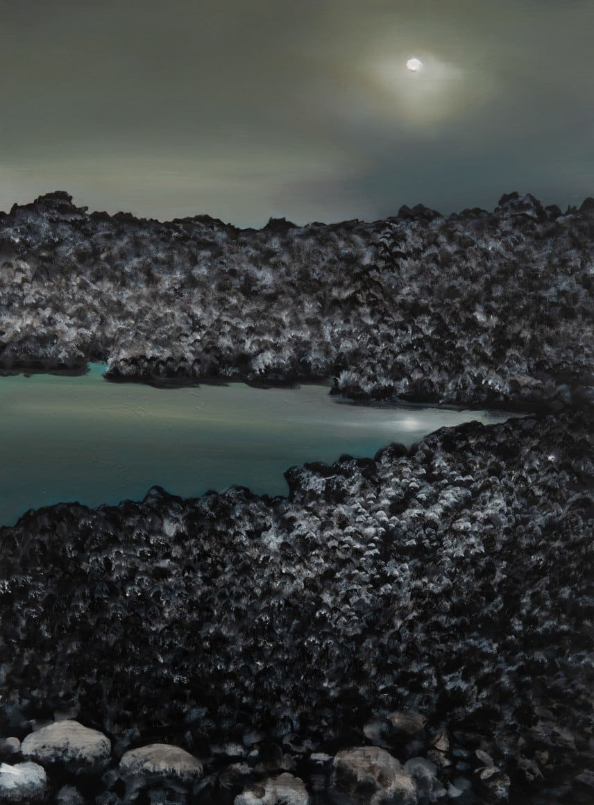 Tula Telfair, The Vocabularies of Nature, 2023