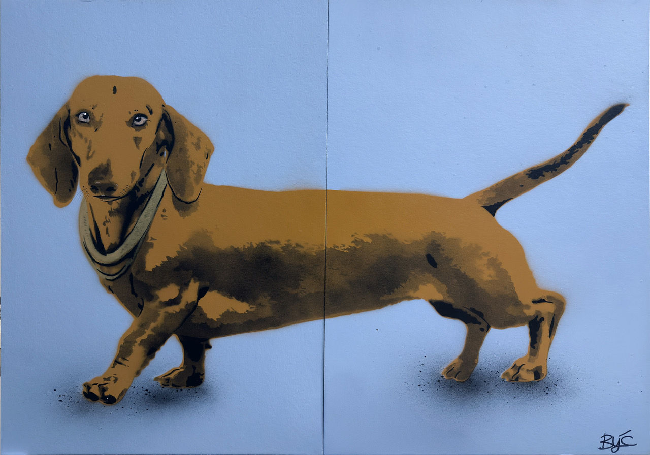 BYĆ, Dachshund- Bleu , 2025