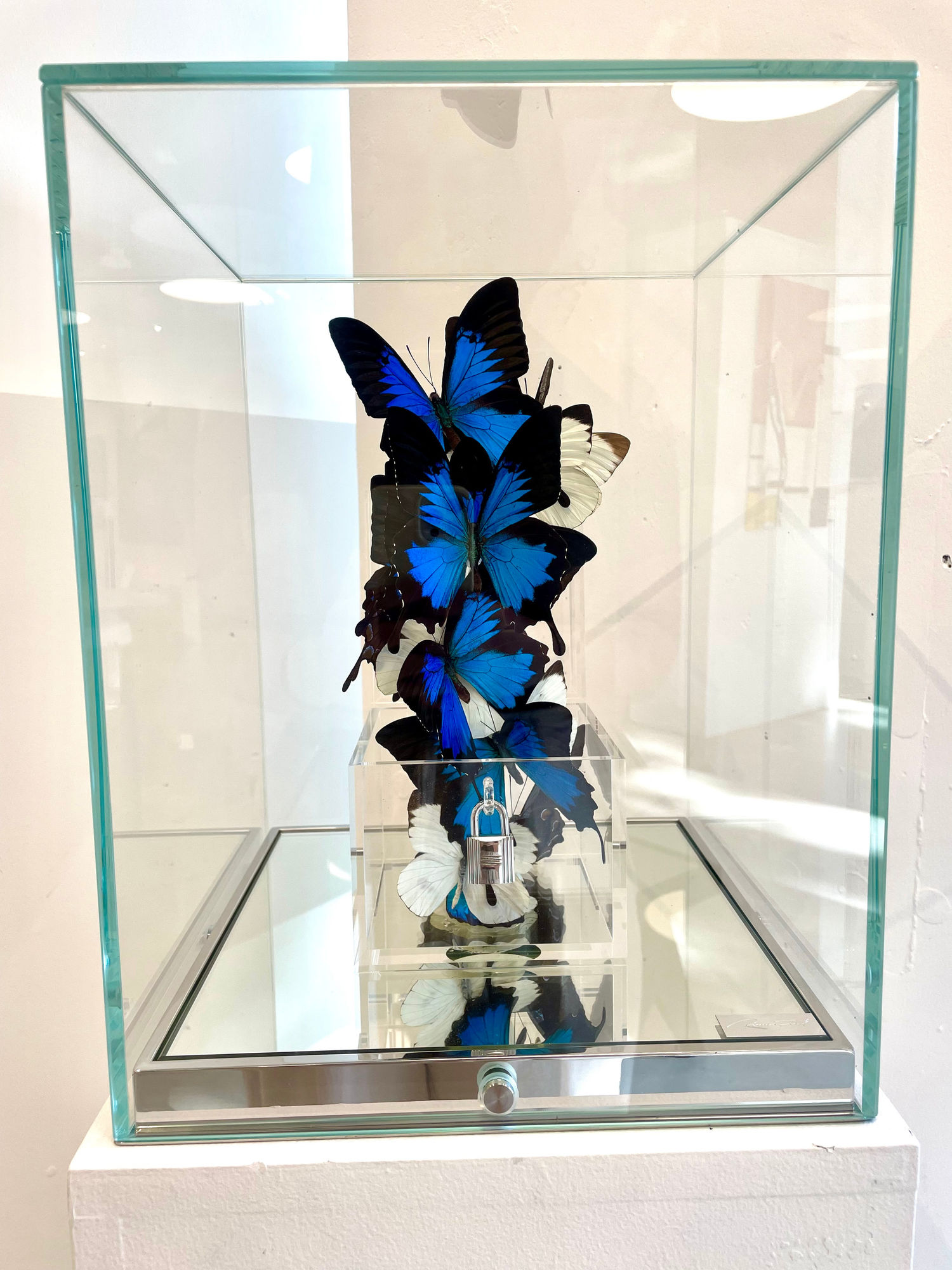 Roman Feral, Love Lock Sky, 2023