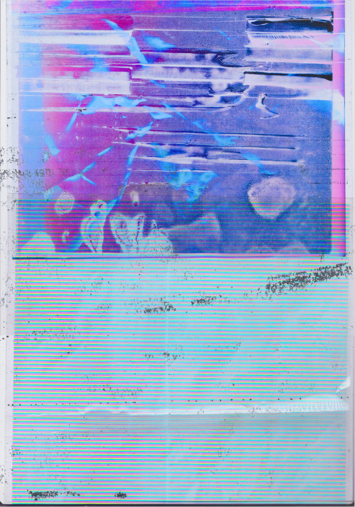 Paul Kneale, Missed Universe, 2017