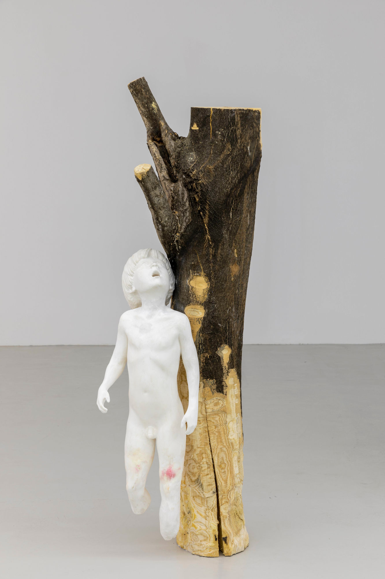 Yves Scherer, Boy with tree, 2020