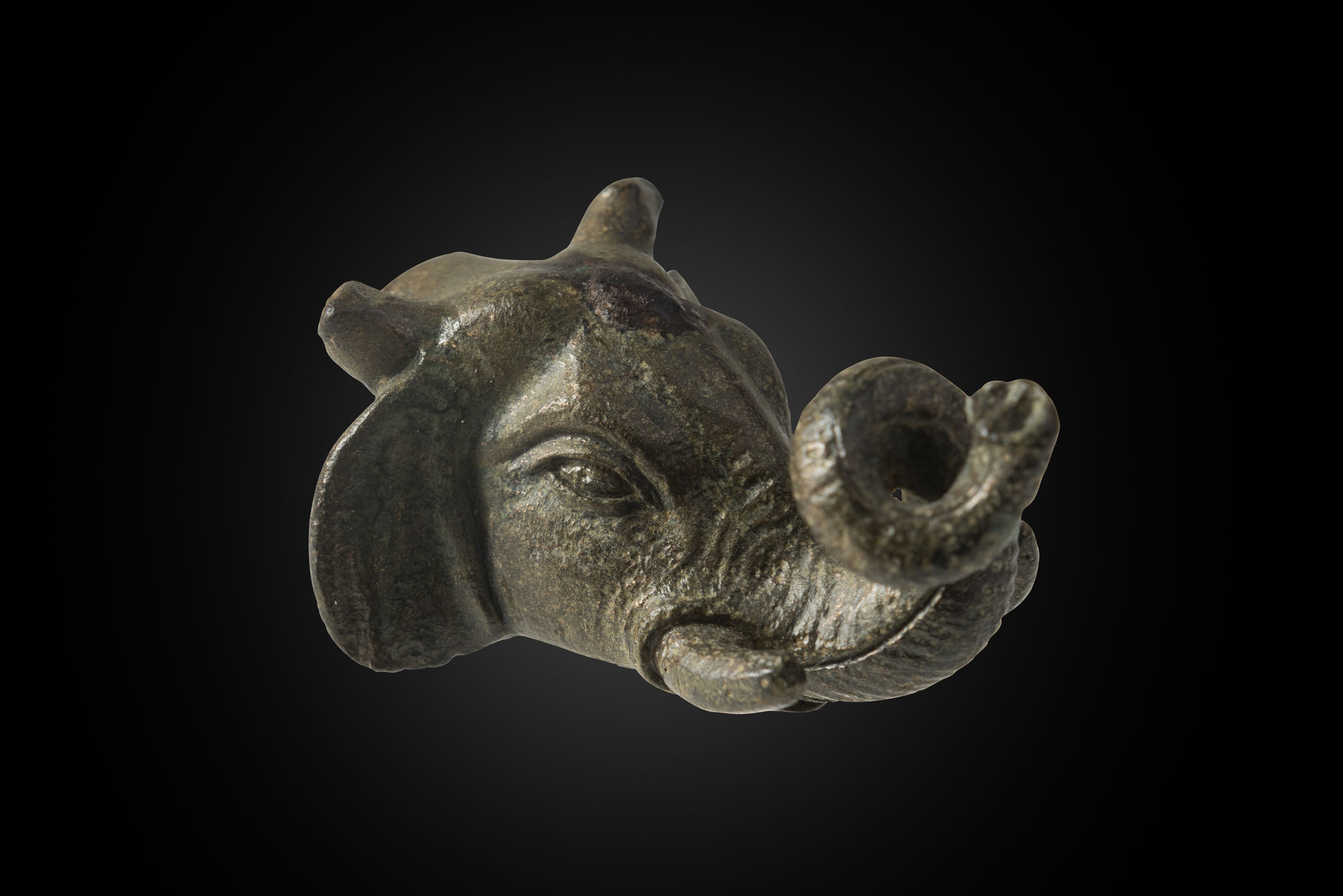 TESTA DI ELEFANTE, Impero Romano, II secolo d.C.