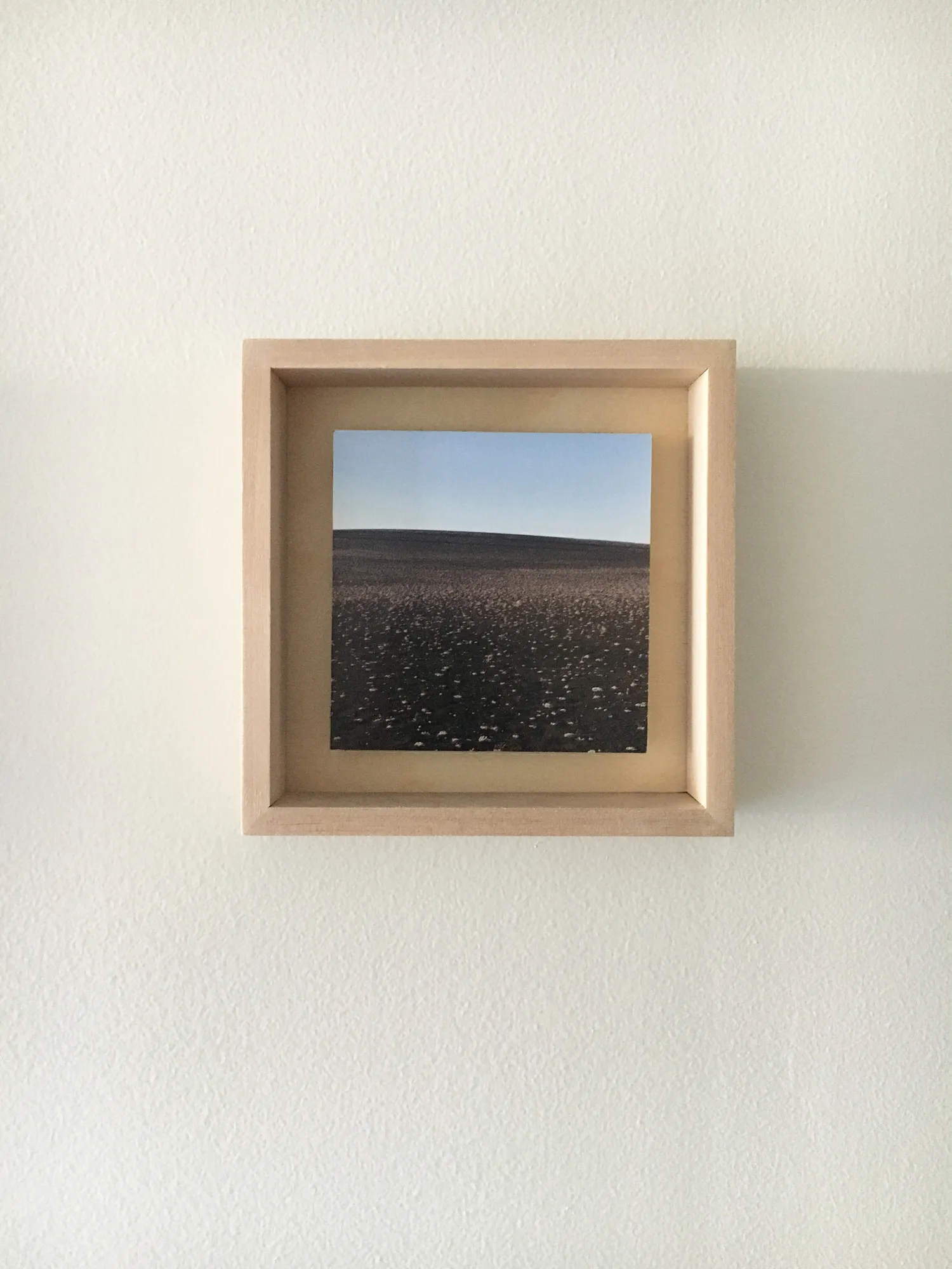 Grace Clark, 14. Sweet Fields XI, 2020