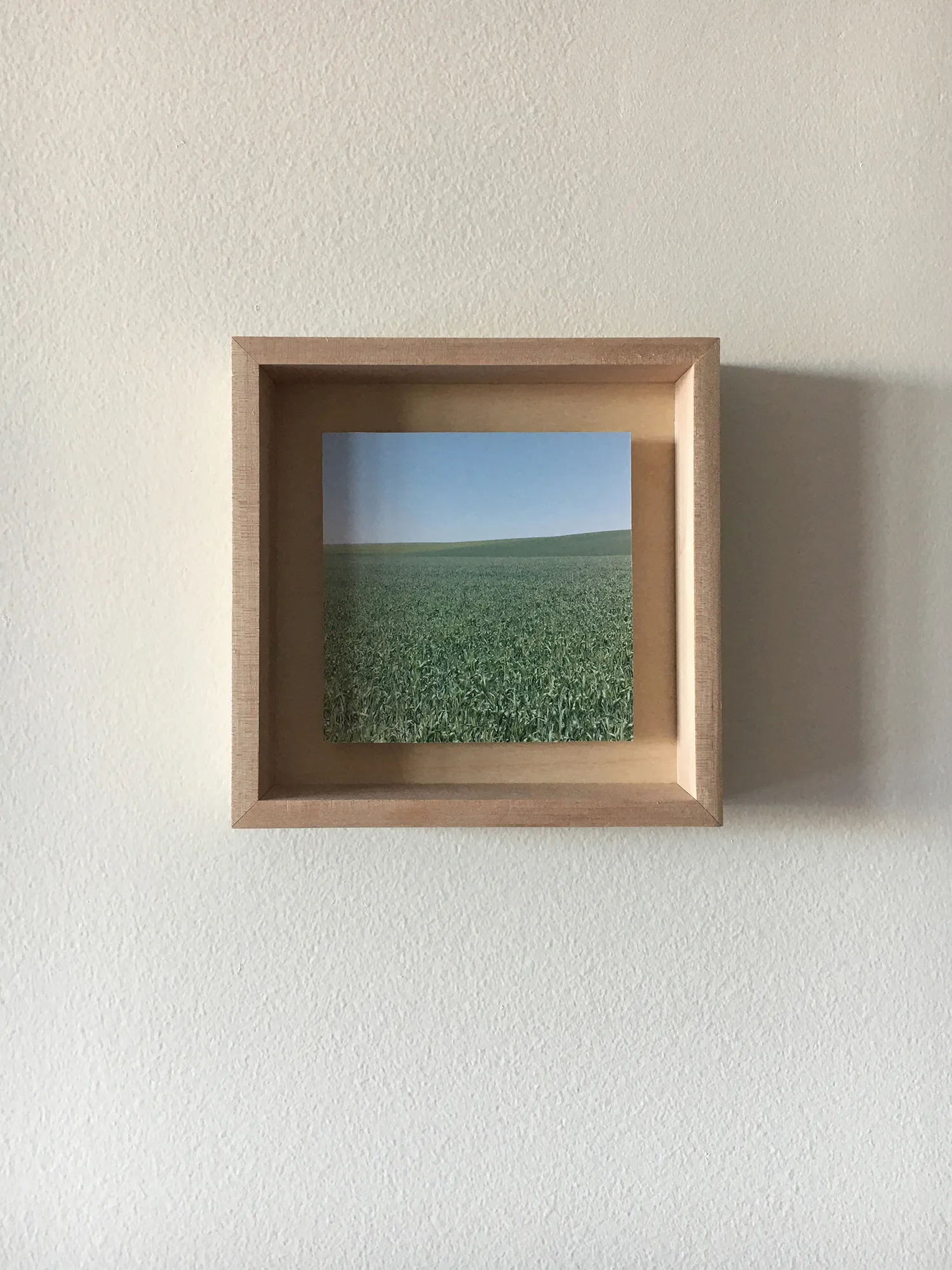 Grace Clark, 4. Sweet Fields IV, 2020