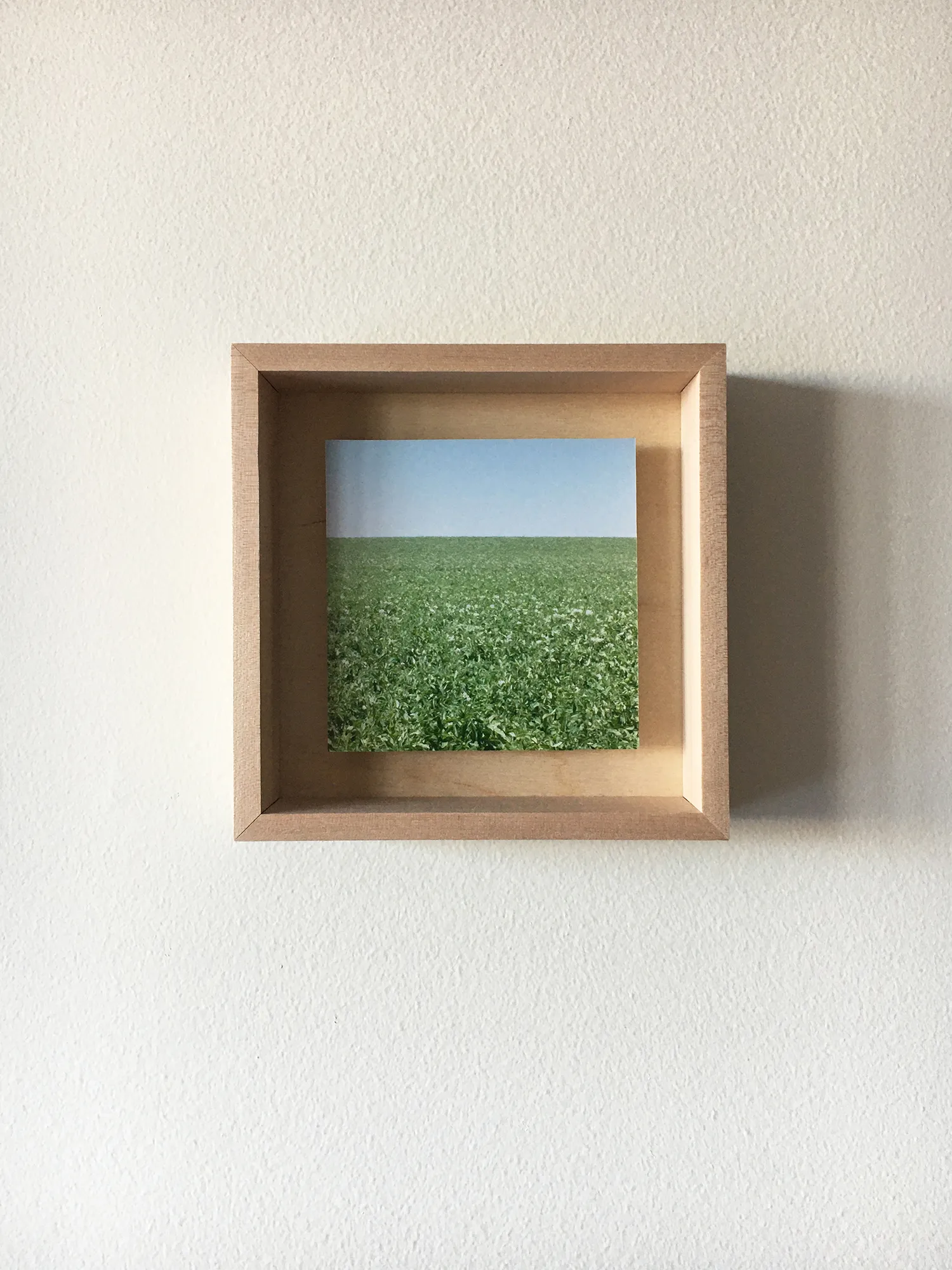 Grace Clark, 2. Sweet Fields II, 2020