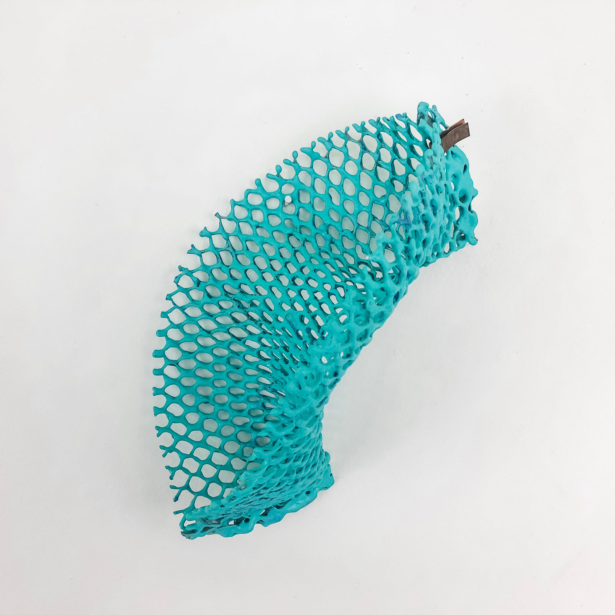 Kelly Sheppard Murray, Curiosity No. 239