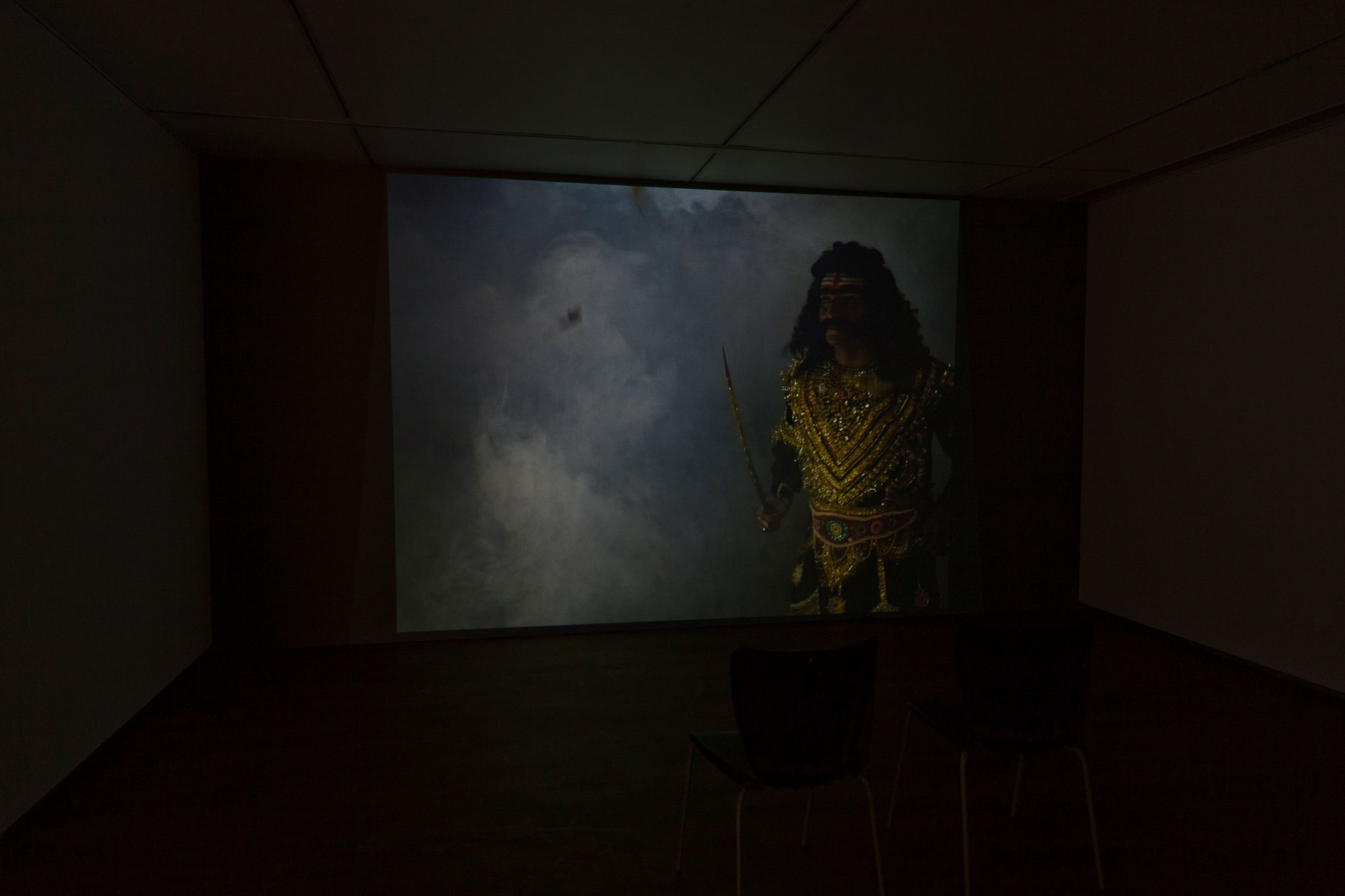 Pushpamala N, Avega the Passion, display view, 2012