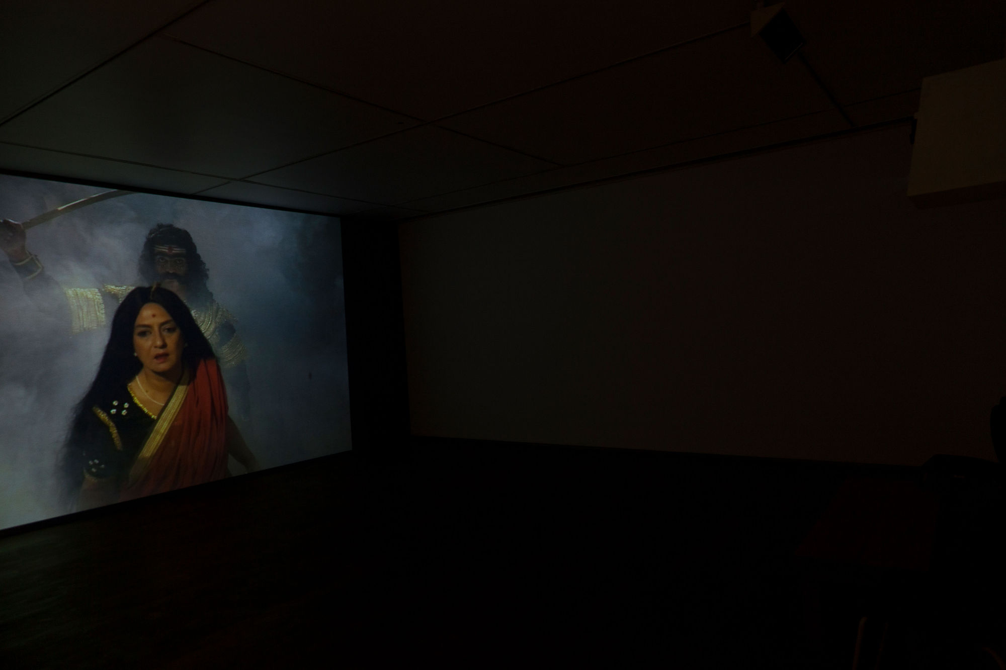 Pushpamala N, Avega the Passion, display view, 2012