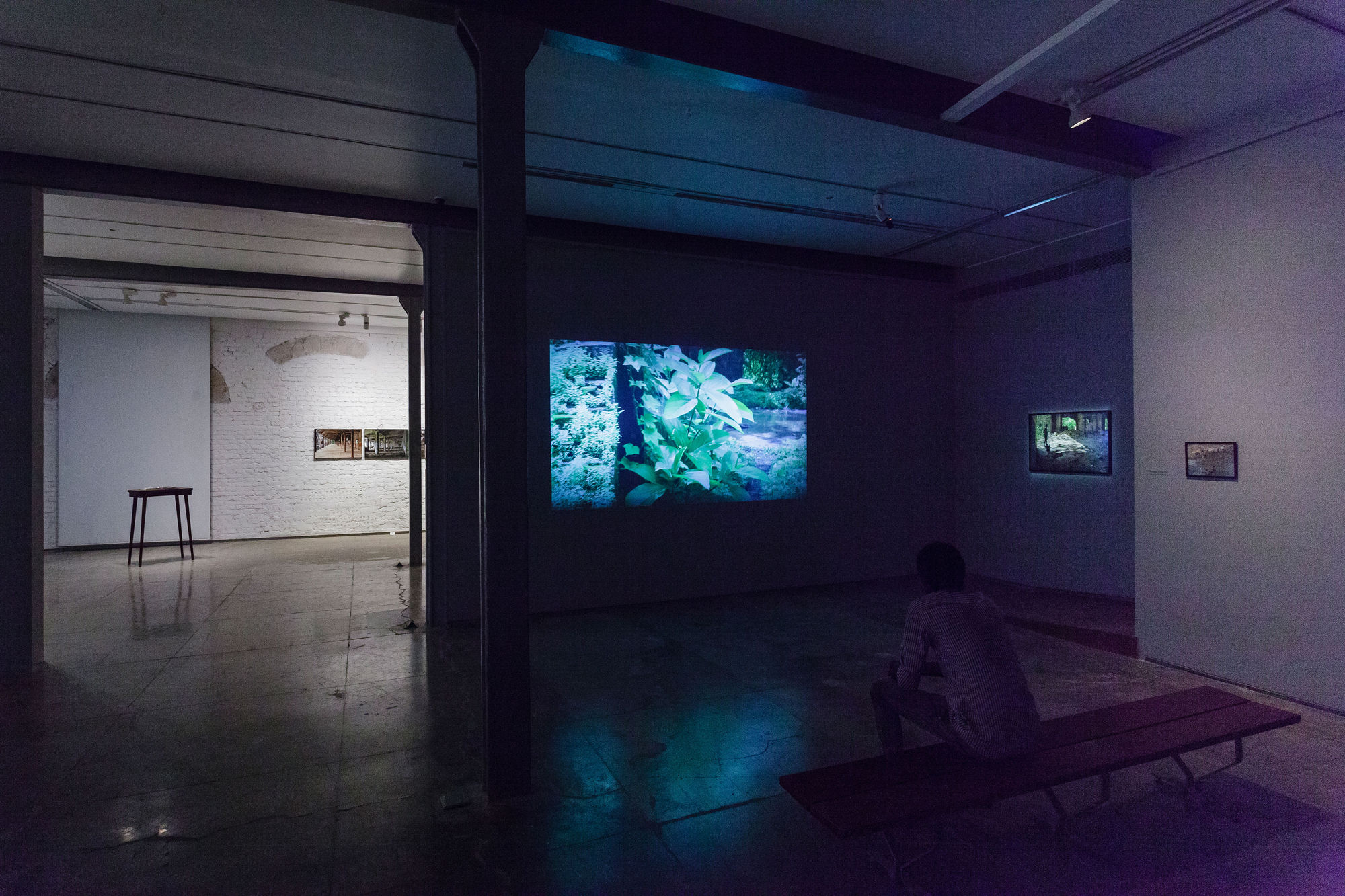 Meera Devidayal, A Terrible Beauty, display view, 2014