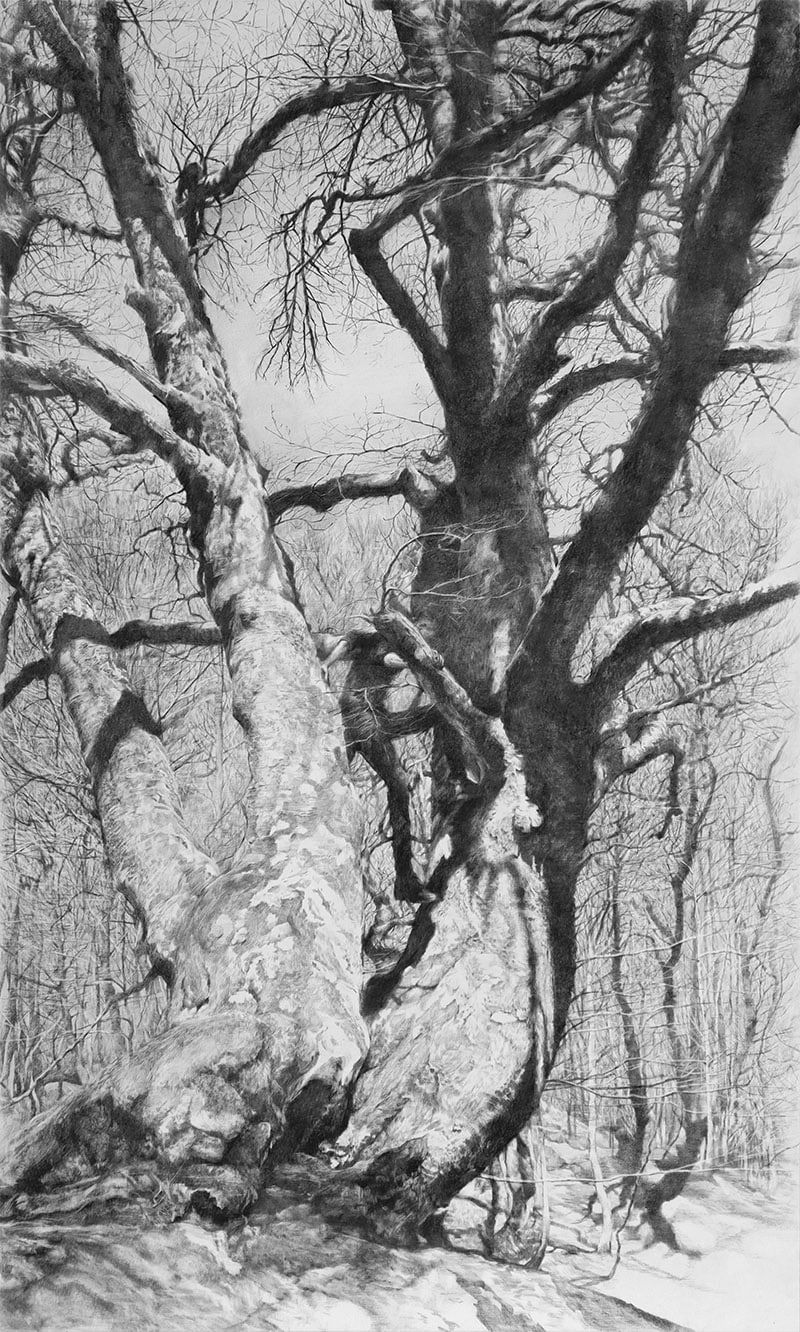 Rouge Hartley, Totdenbaum, 2023