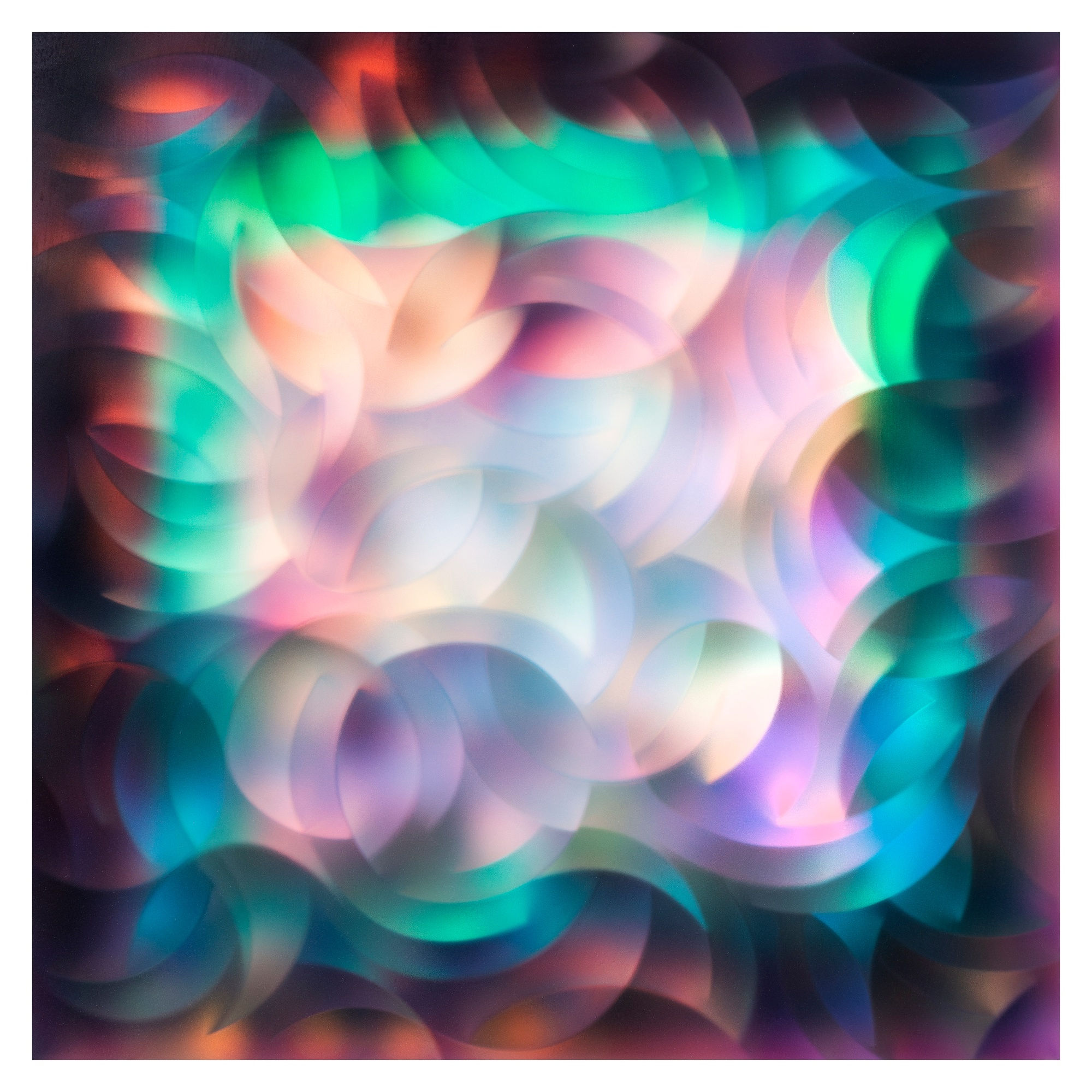 Carrie Seid, Flourite, 2023