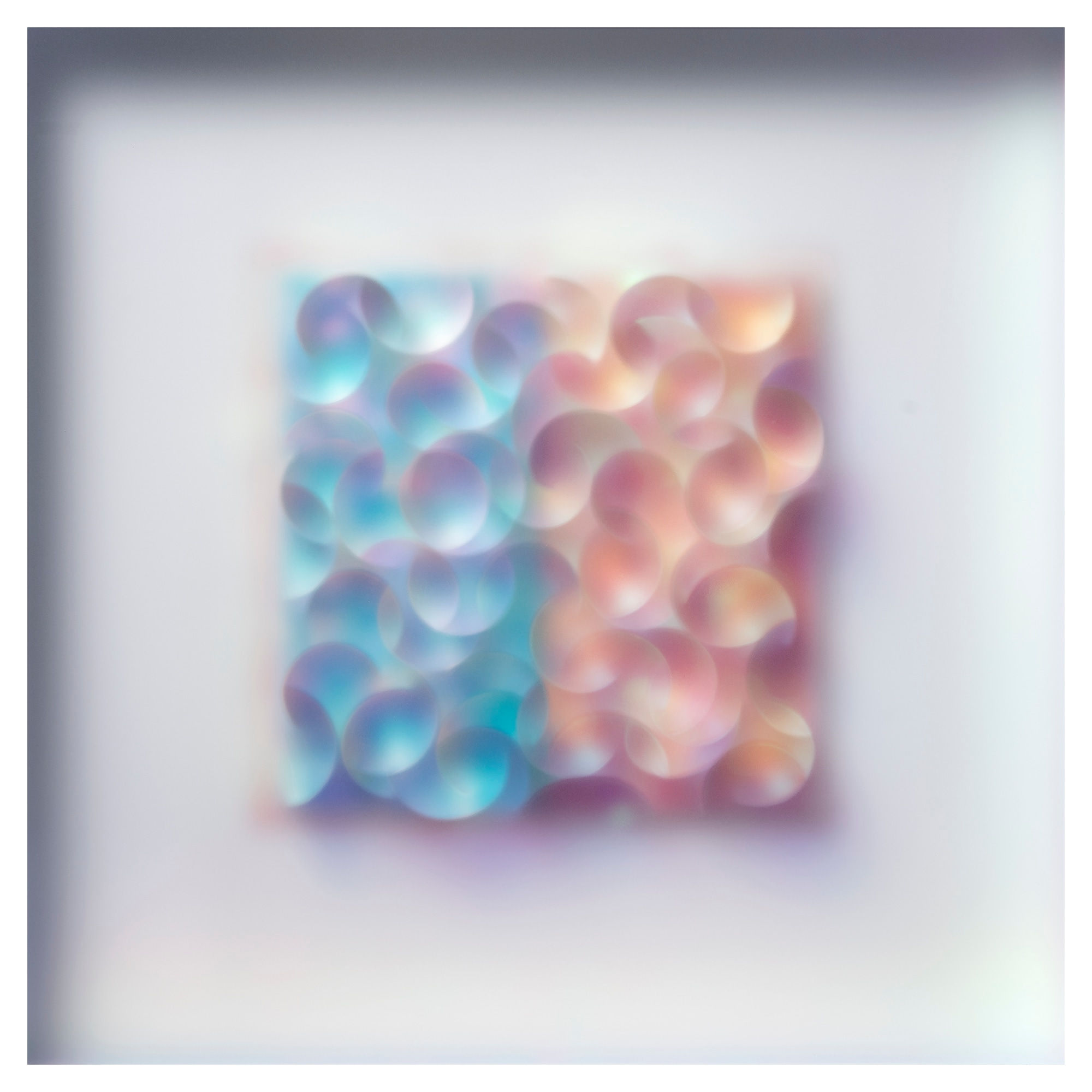 Carrie Seid, Alone Together , 2023