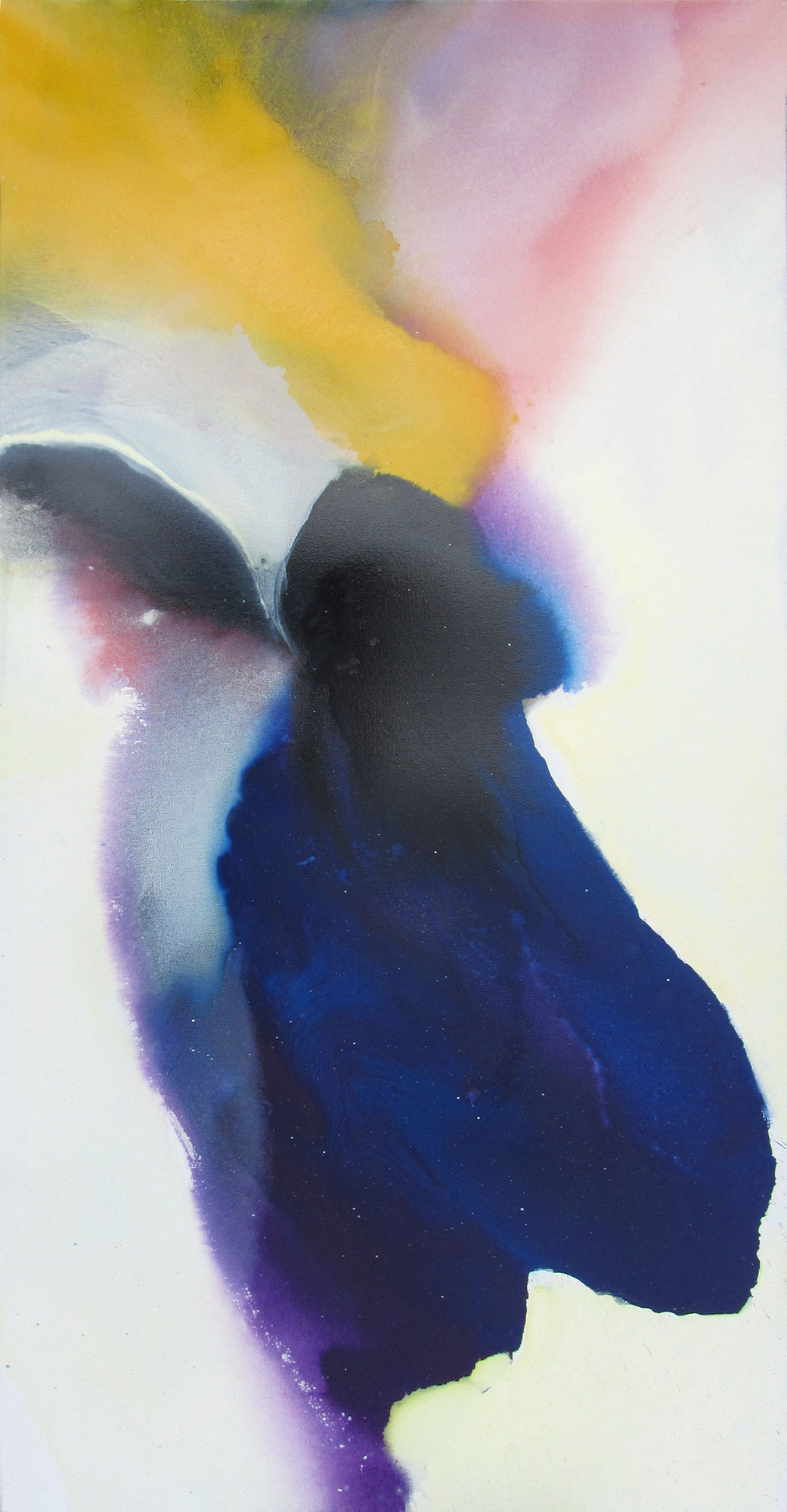 Bassmi Ibrahim, Vision #5