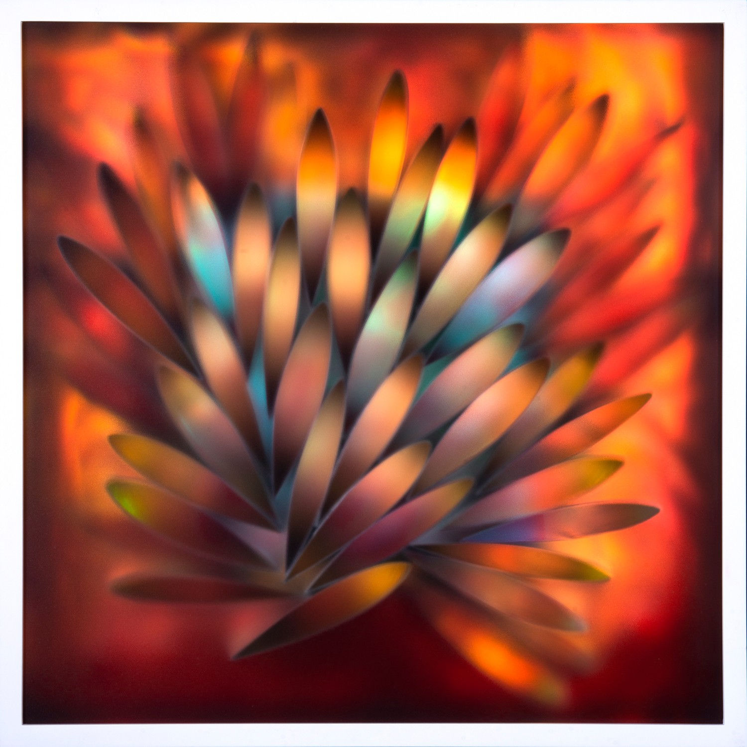 Carrie Seid, Upward Motion