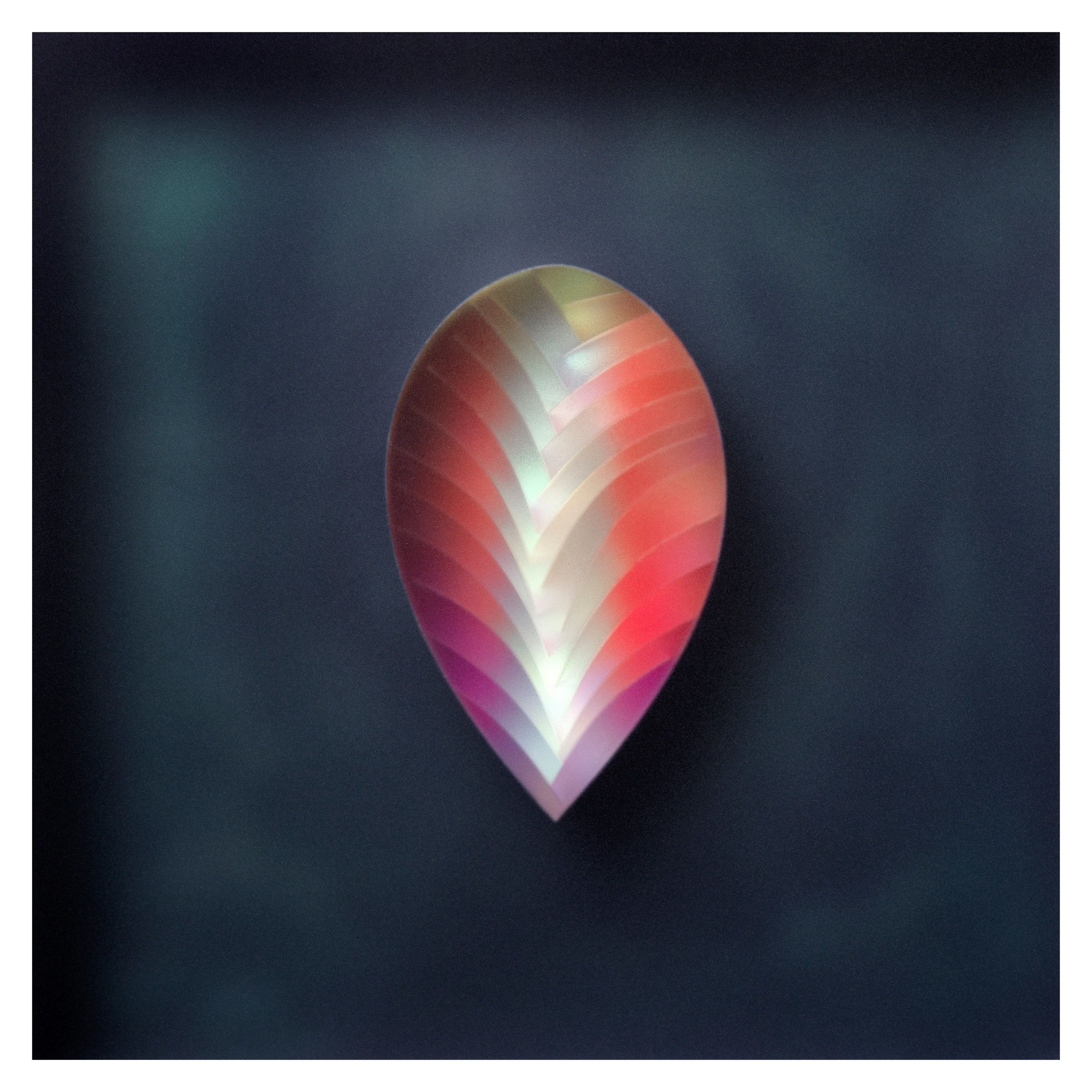 Carrie Seid, Seed , 2023