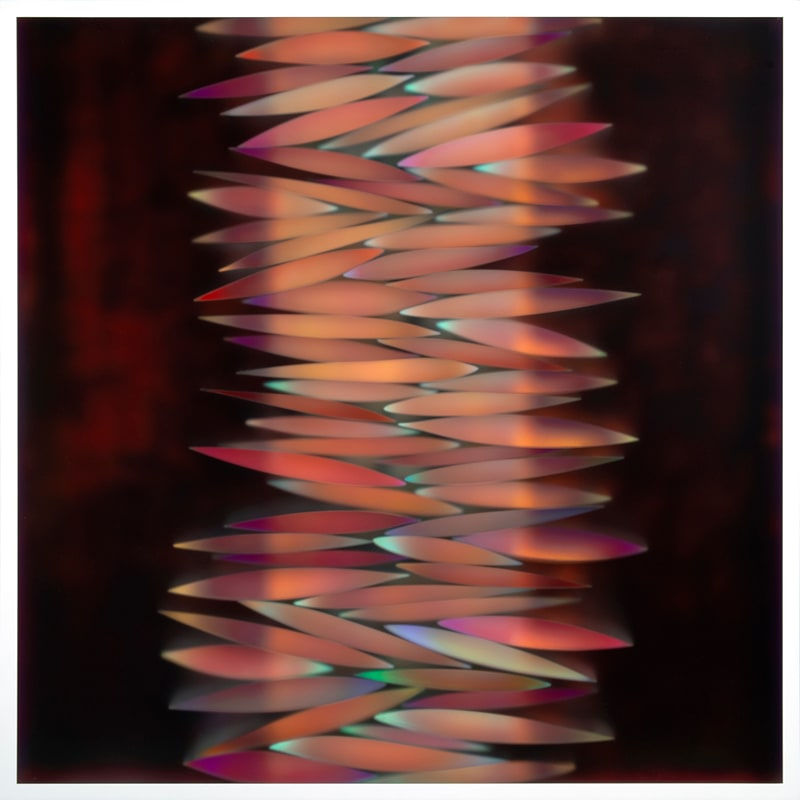 Carrie Seid, Cooperation