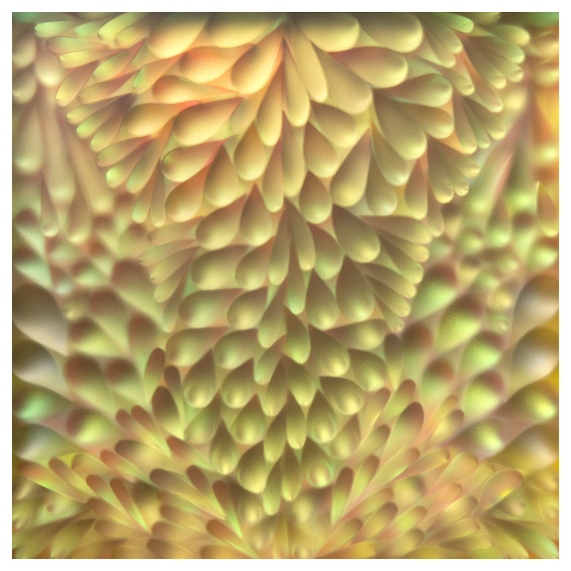 Carrie Seid, Glimpse , 2023