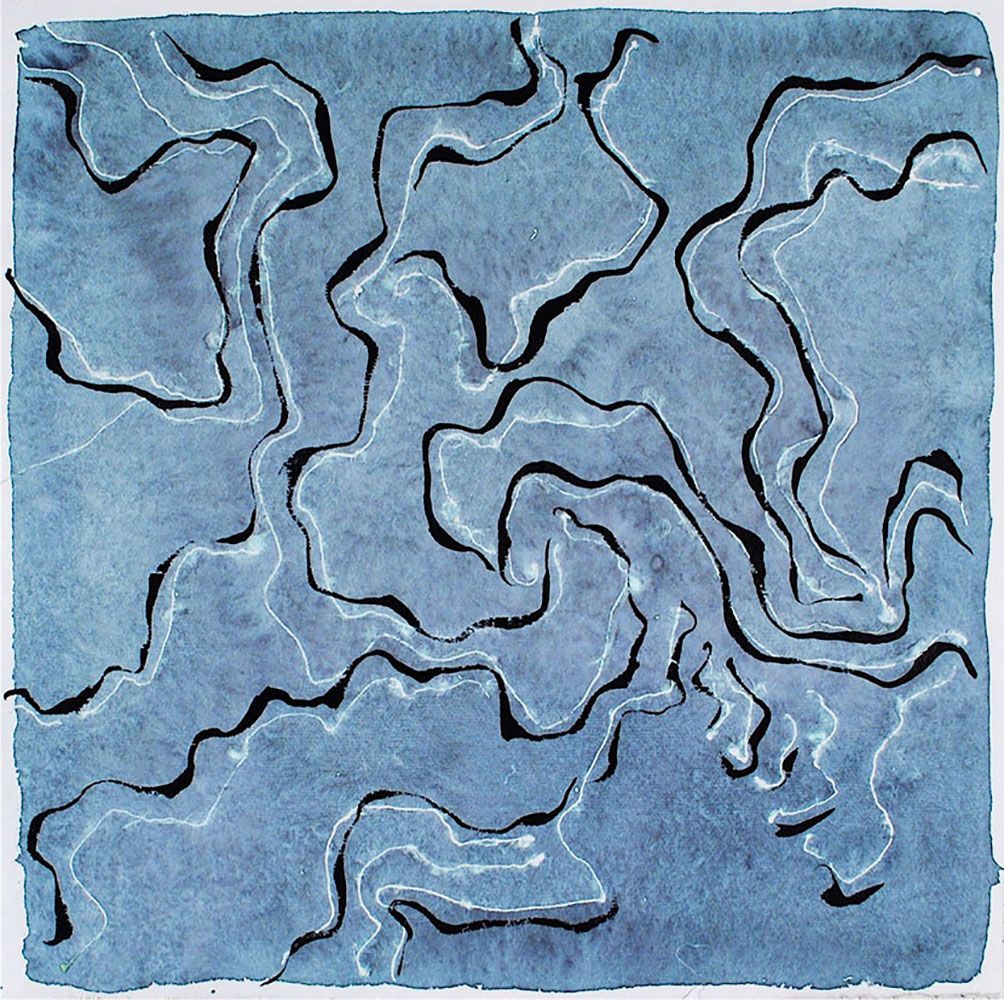 Allison Svoboda, Topo Study #2