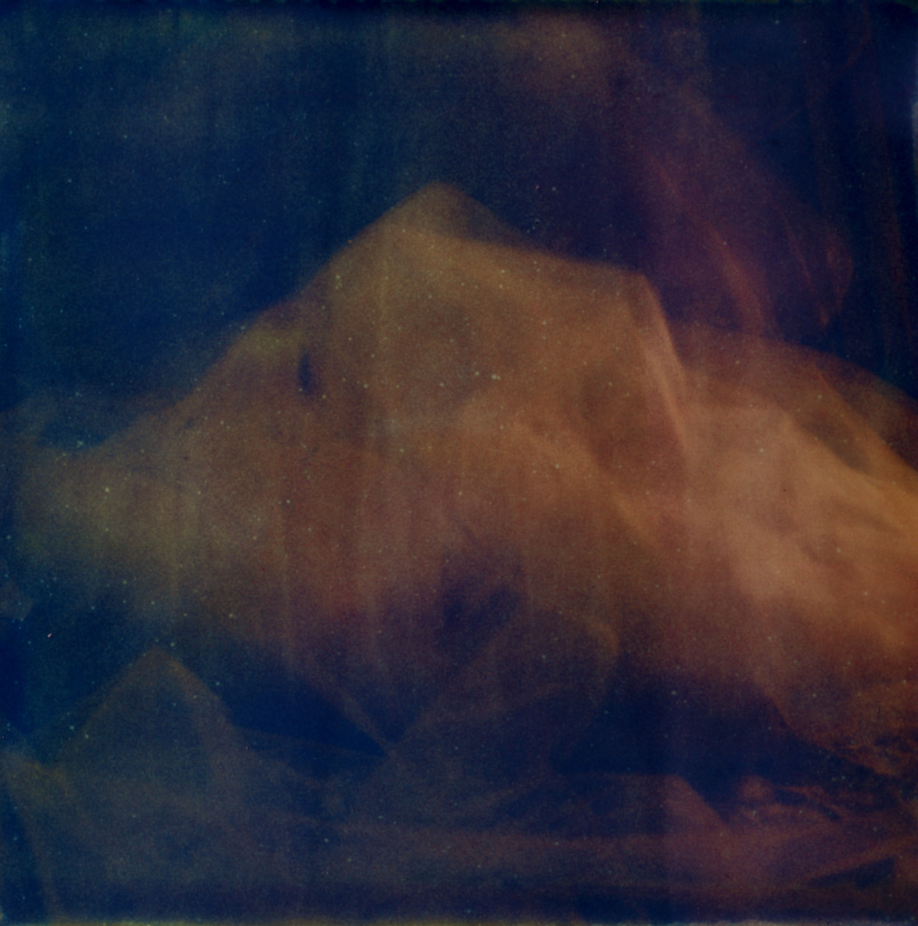 Wendy bevan, Flower 3R