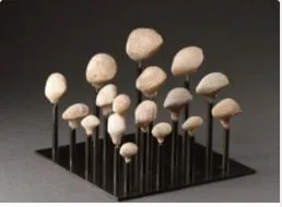 STARGAZERS, 3200 - 2500 BC