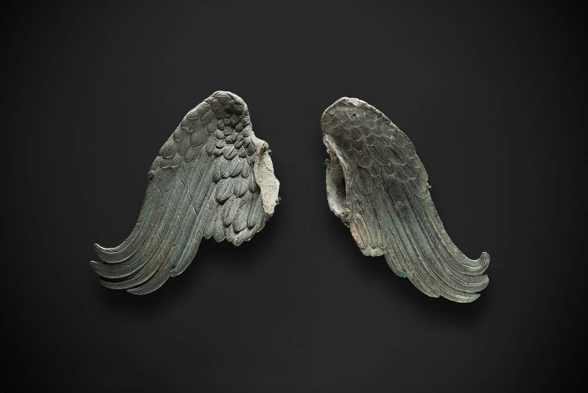 A Pair of Wings, Graeco-Roman, ca. 2nd Century BC - 2nd Century AD