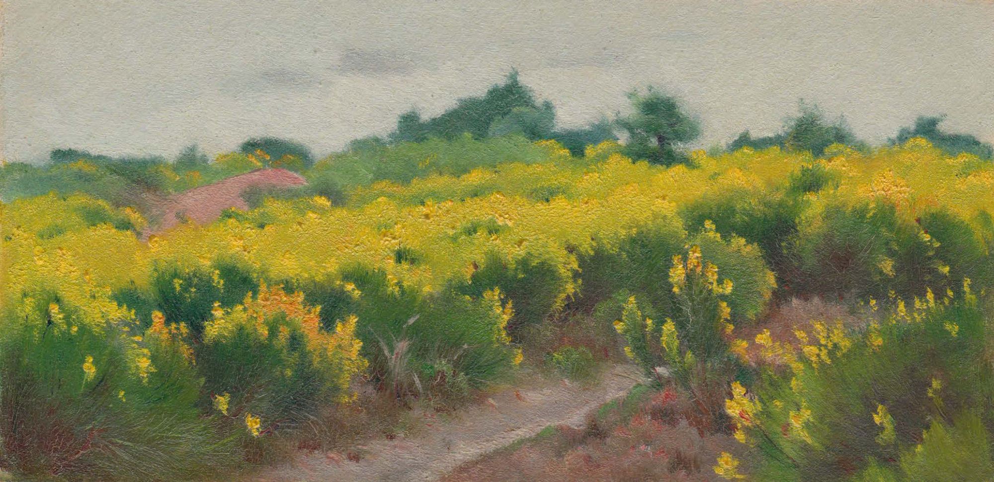 EDOUARD ATHÉNOSY, Trail in the brooms, 1910