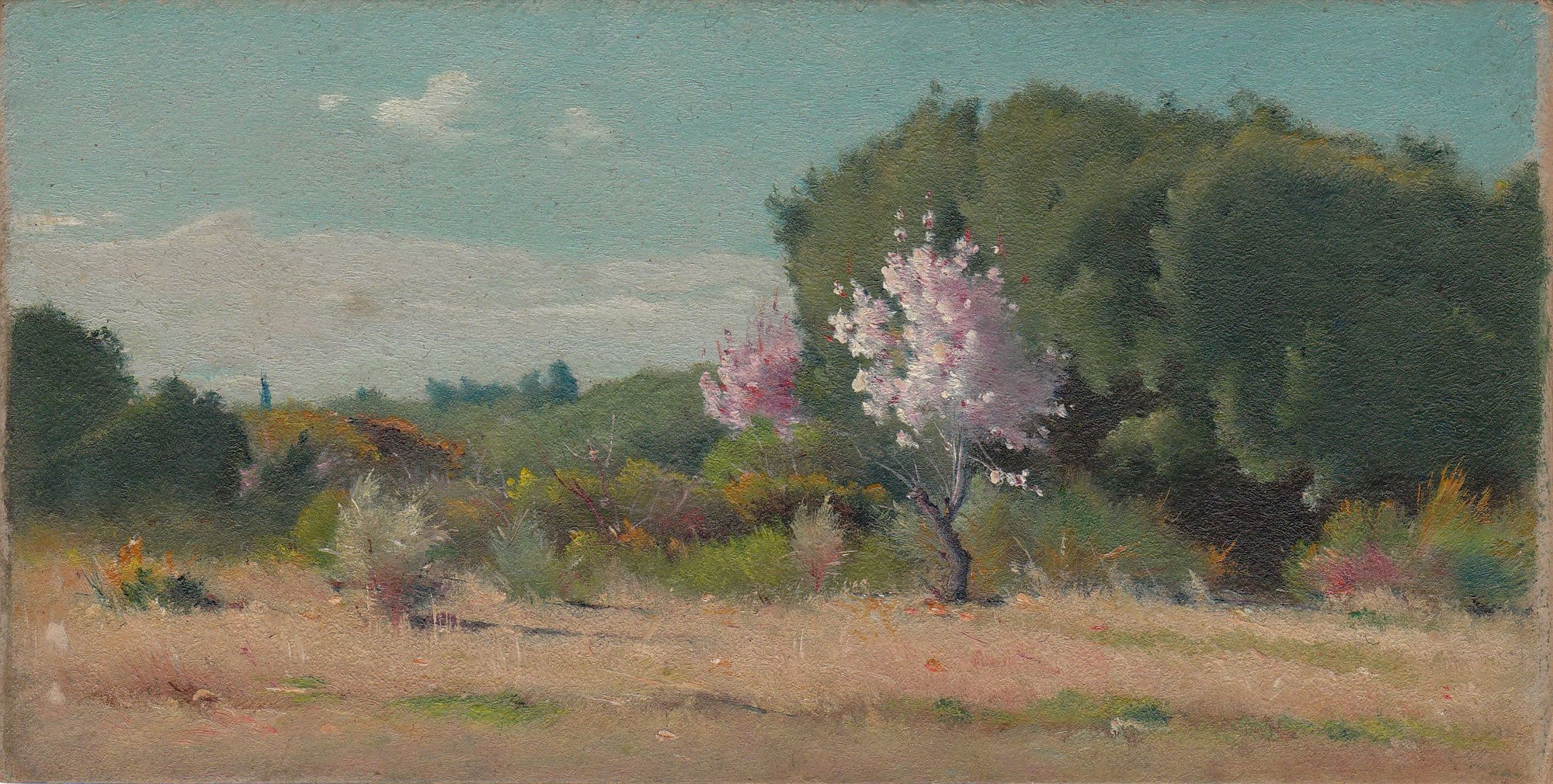 EDOUARD ATHÉNOSY, P-126, c. 1912