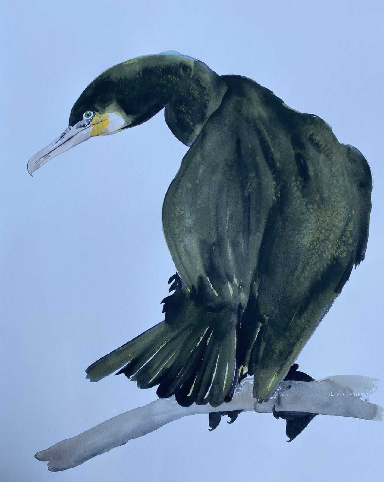 Jim Moir, Cormorant