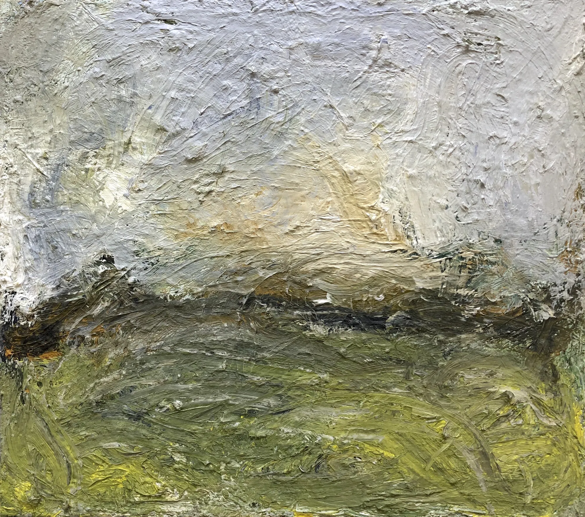 Richard Cook, On the Somerset Levels