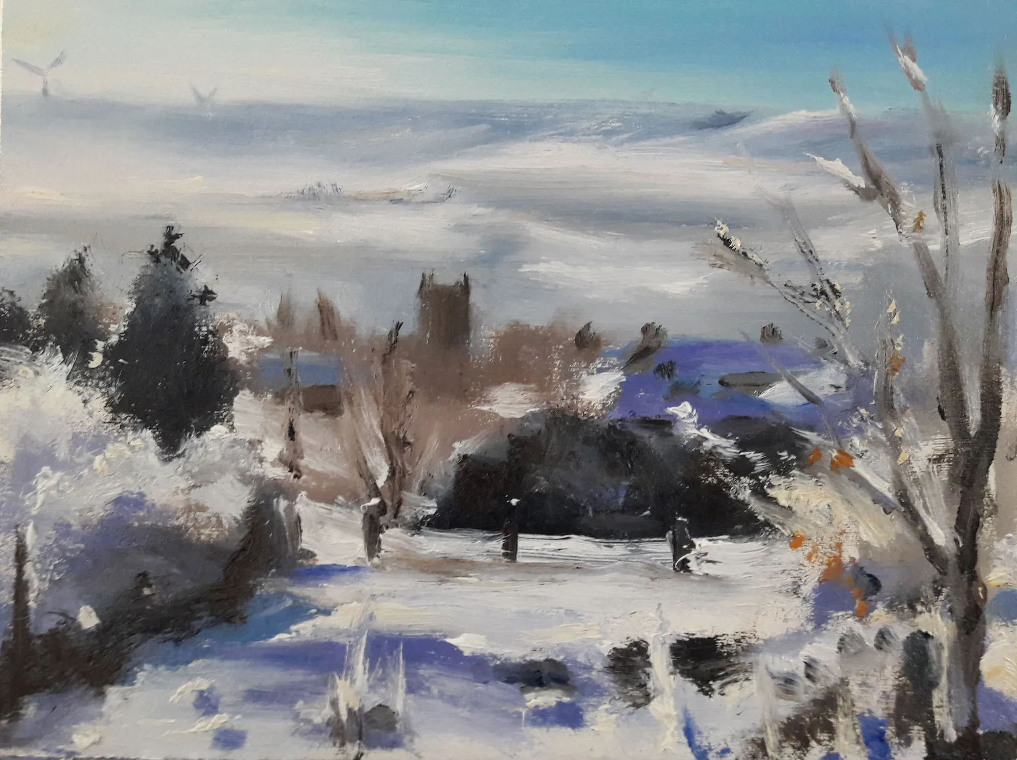 Liam Spencer, Newchurch Snow, 2018