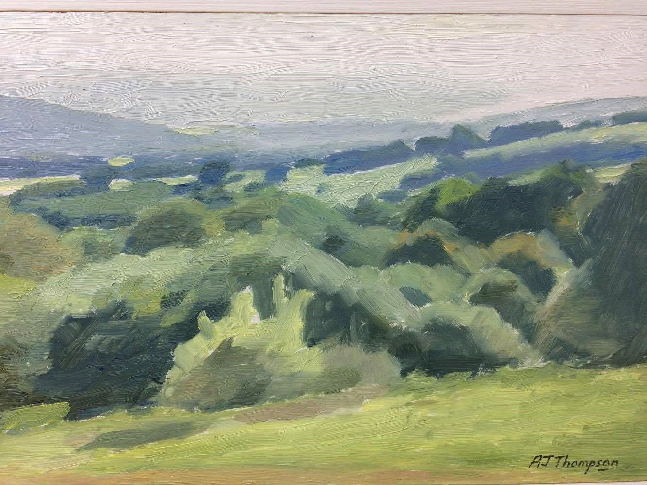 Alan James Thompson, Bushes in Sunlight