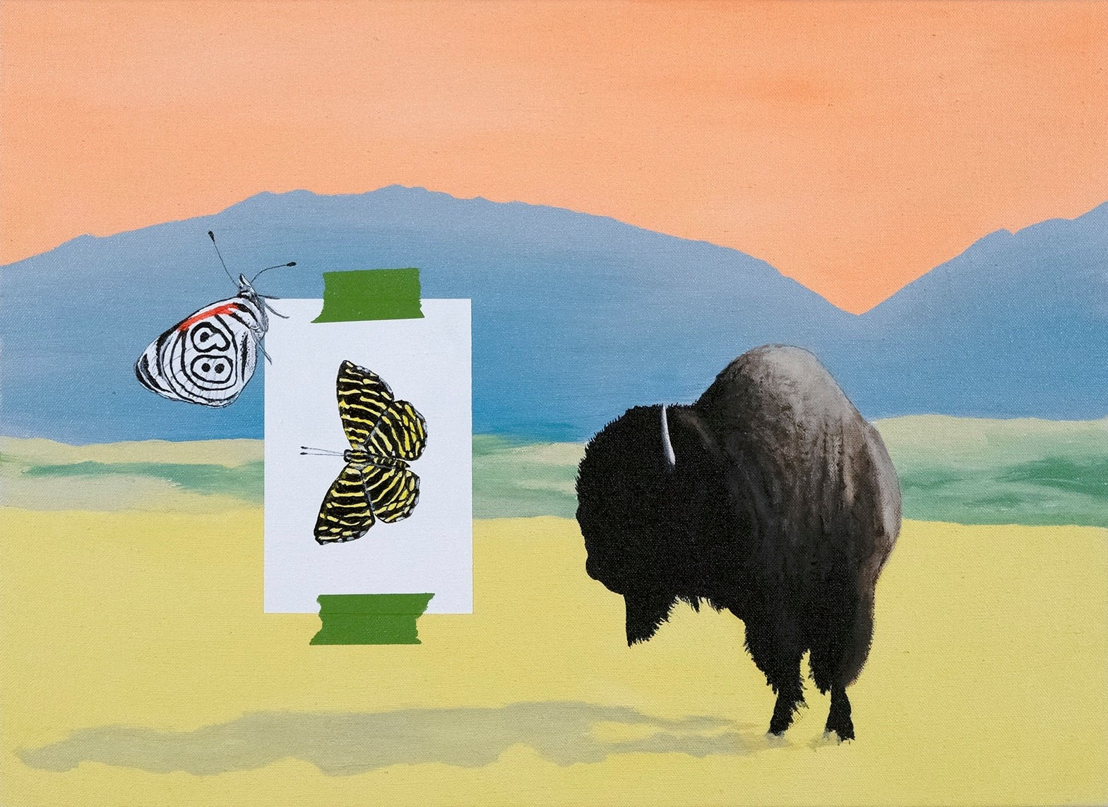 Heimir Björgúlfsson, Study for a Frivioous Lawsuit