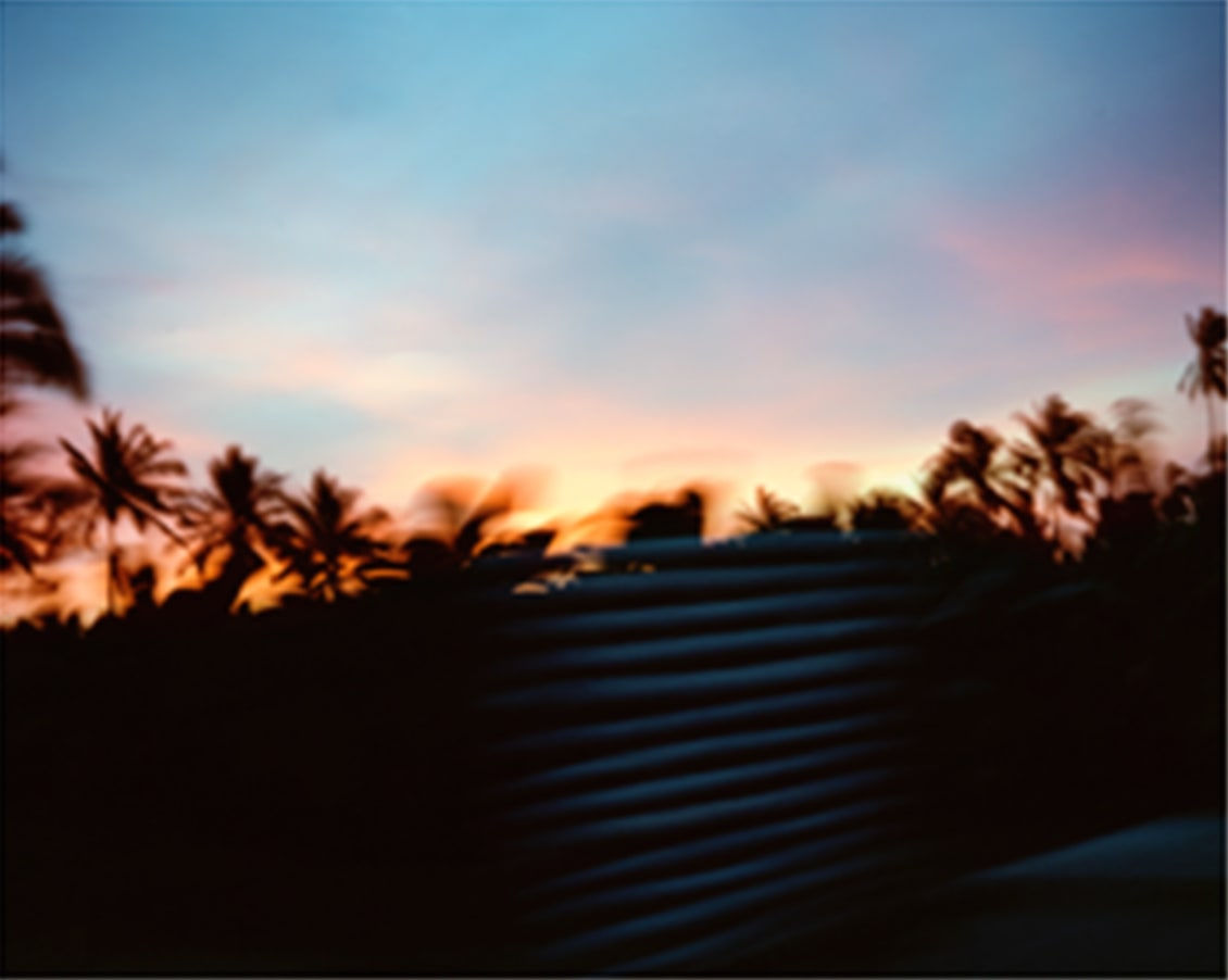 Andrés Marroquín Winkelmann, Colectivo, Palmeras, 2012