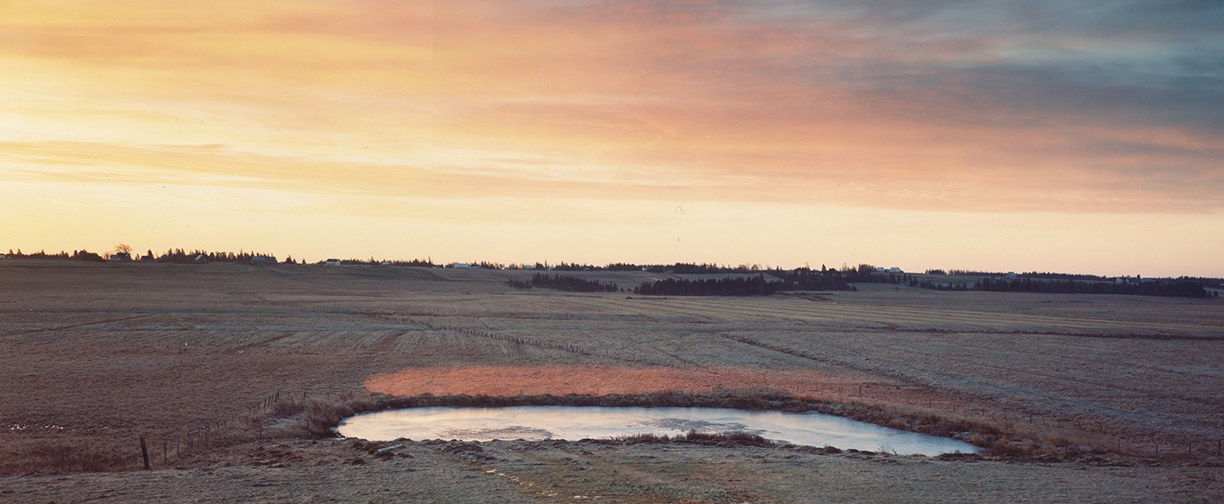 Thaddeus Holownia, Jolicure Pond, 14, 1996-2004