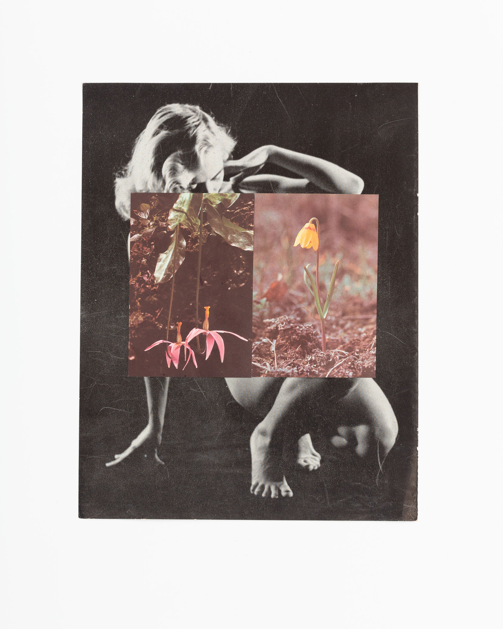 Sondra Meszaros, Pink Perch, 2021