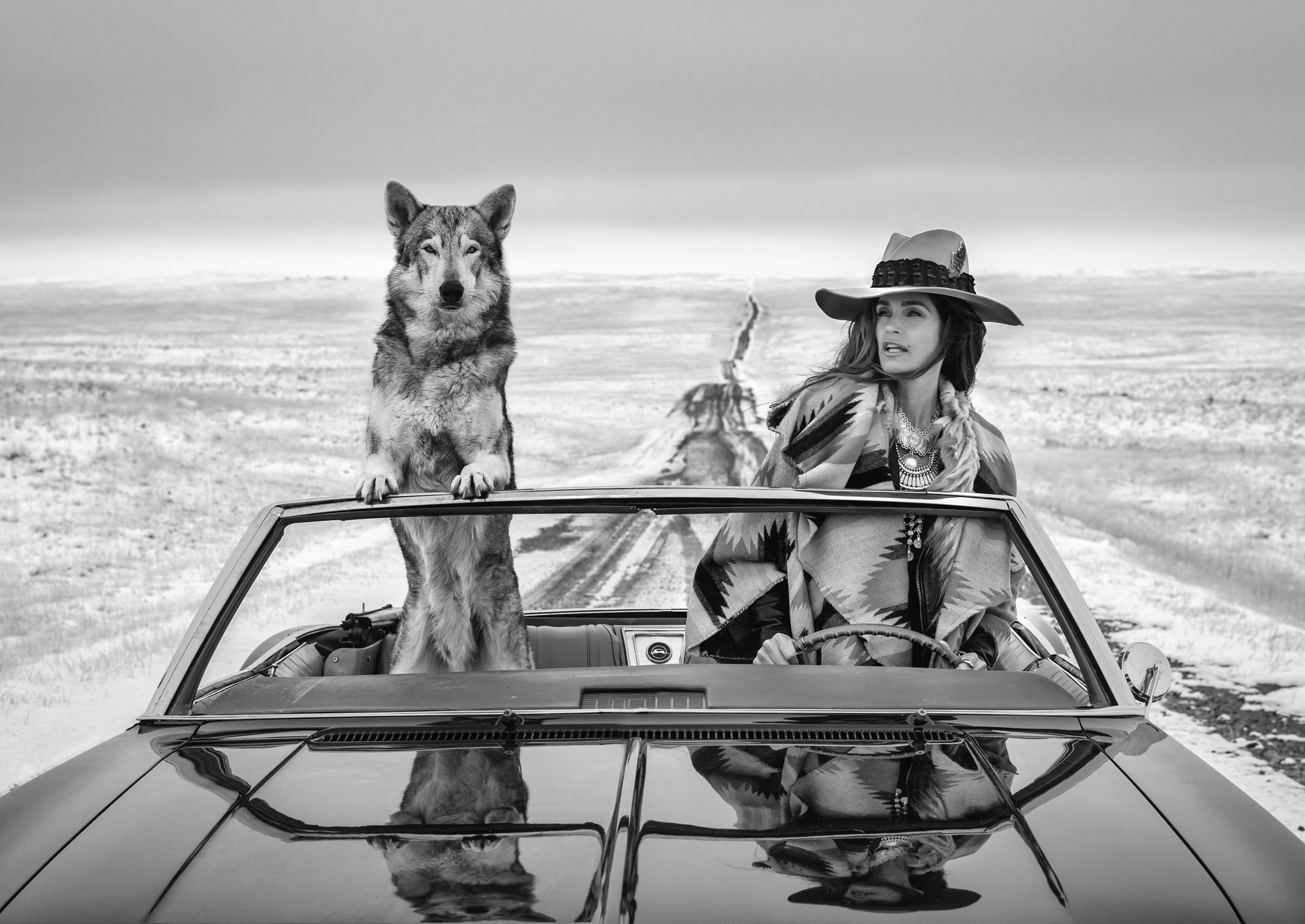 David Yarrow, On The Road Again