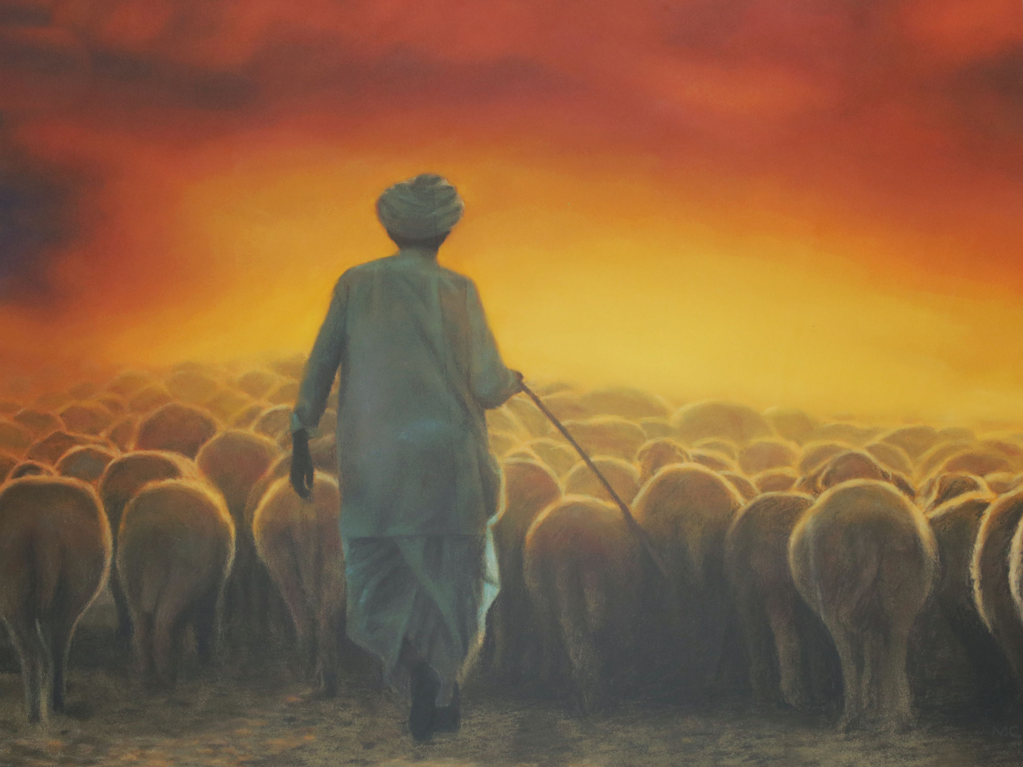 Mark Clark, Shepherd, Sheep and Sunset