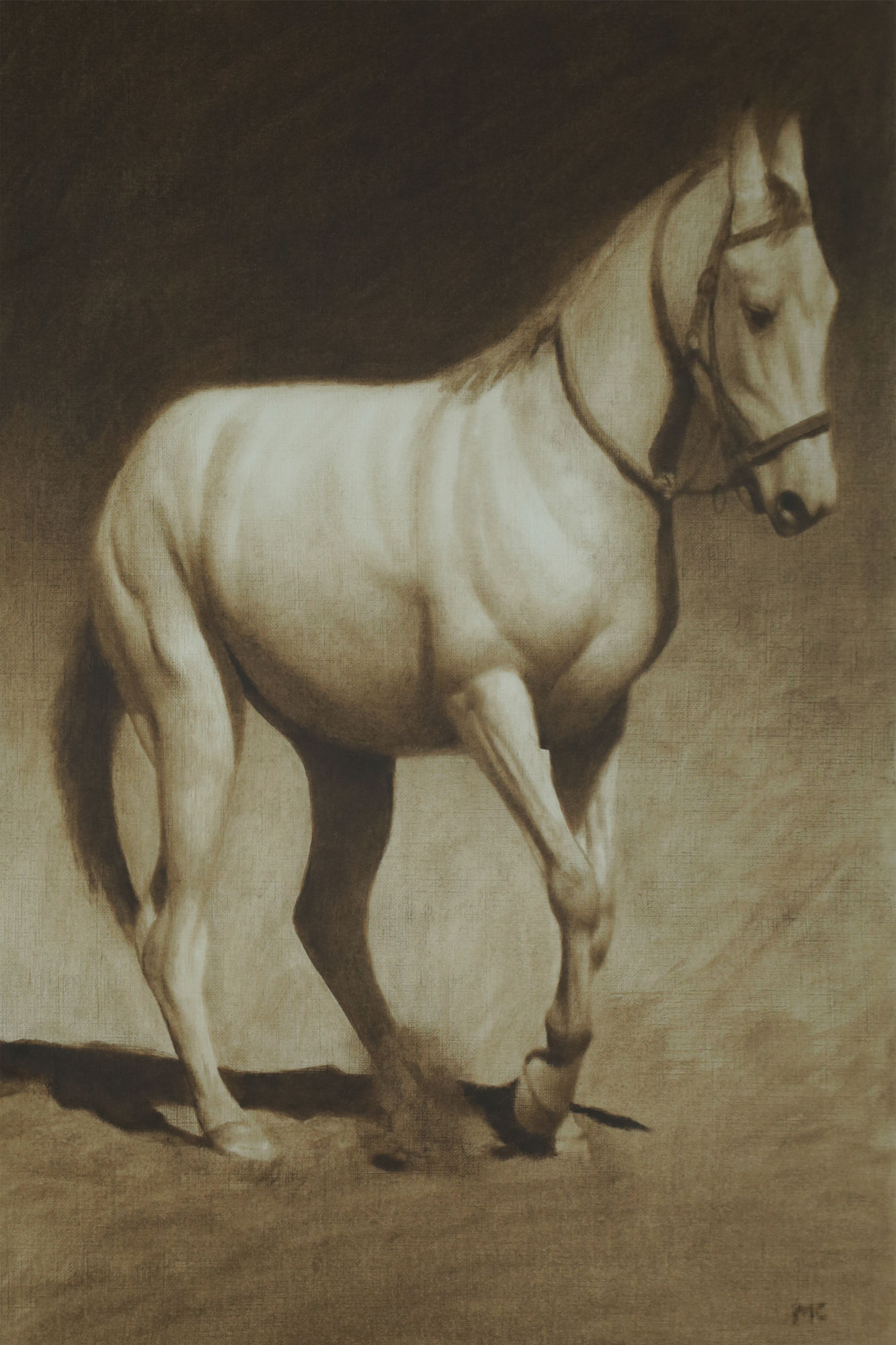 Mark Clark, Marwari Horse