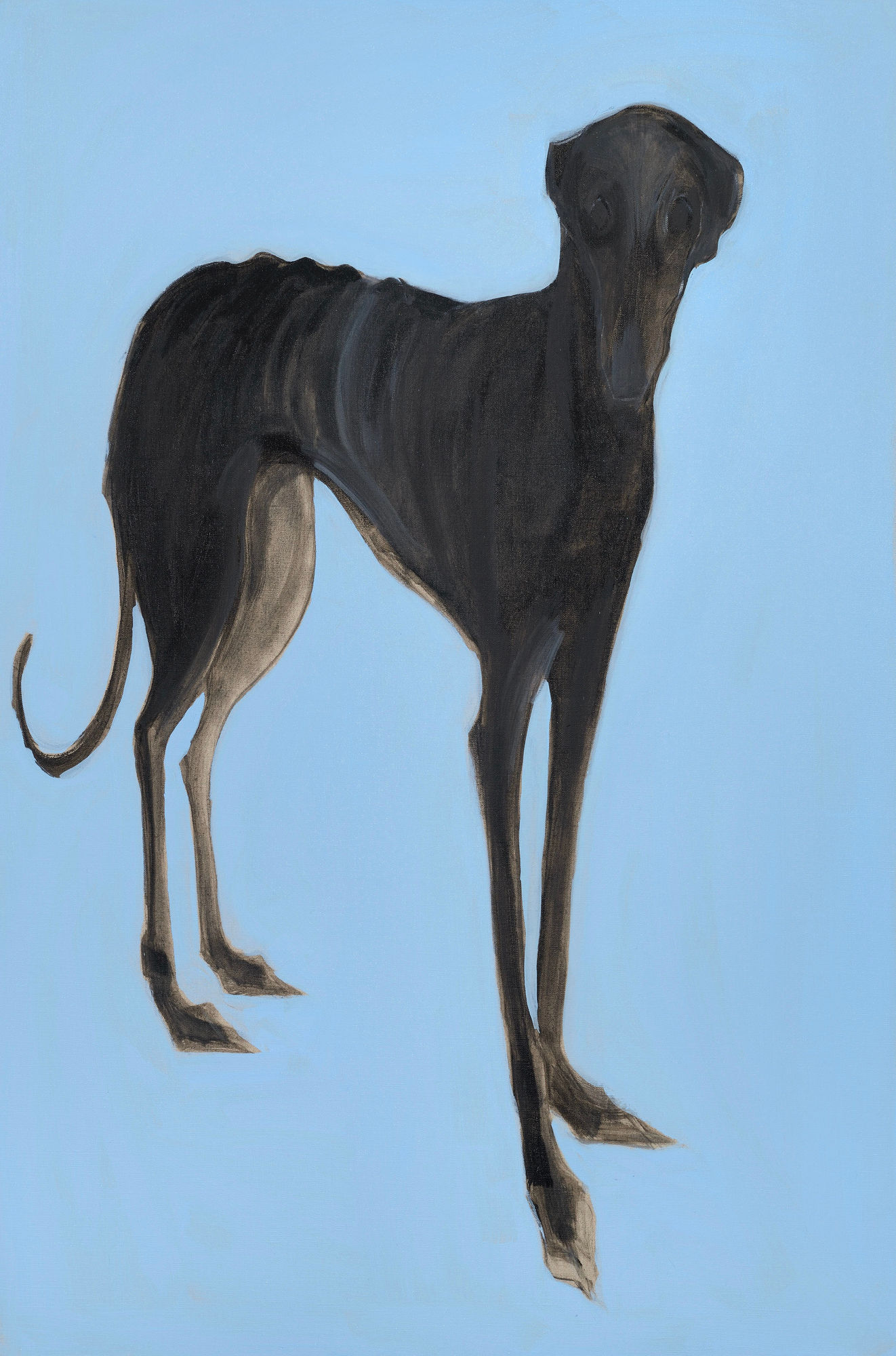 Sally Muir, Hank (Unframed)
