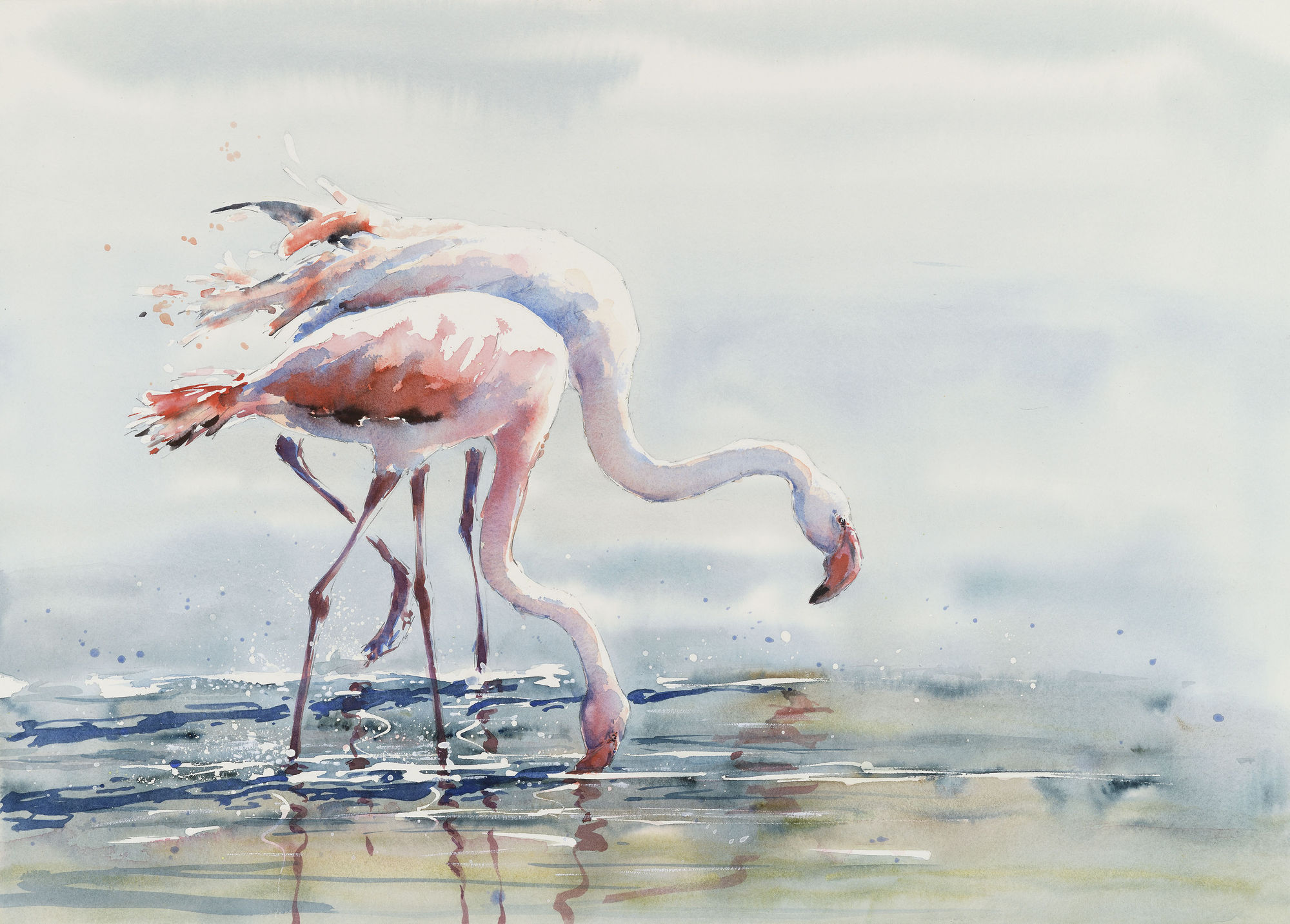 Julia Cassels, Fishing